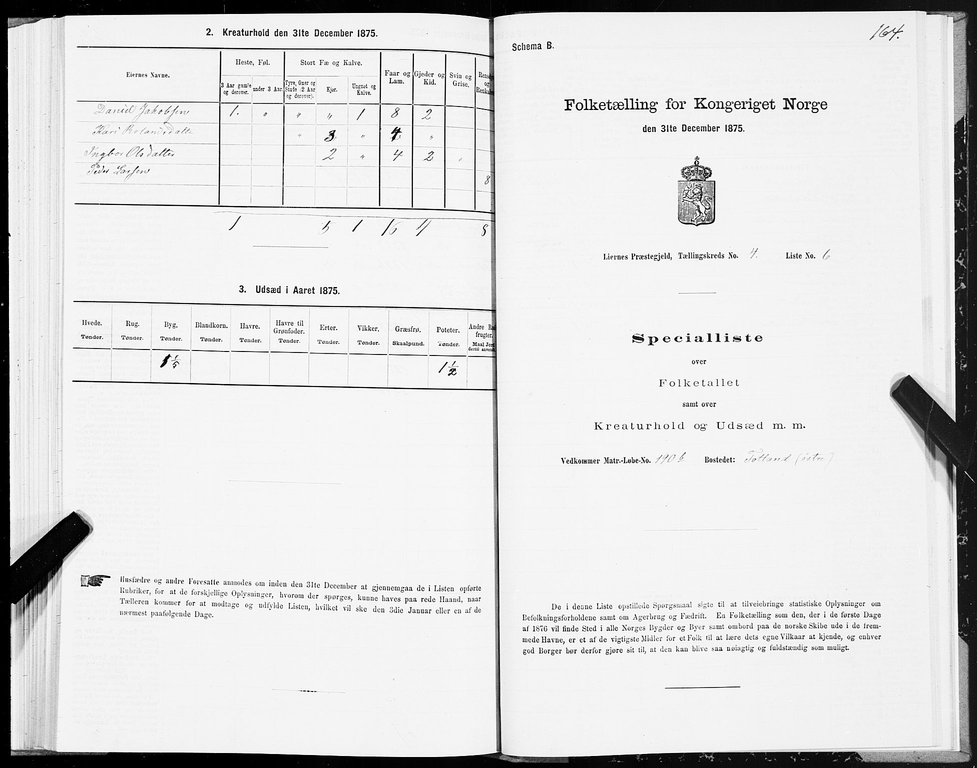 SAT, Folketelling 1875 for 1737P Lierne prestegjeld, 1875, s. 1164