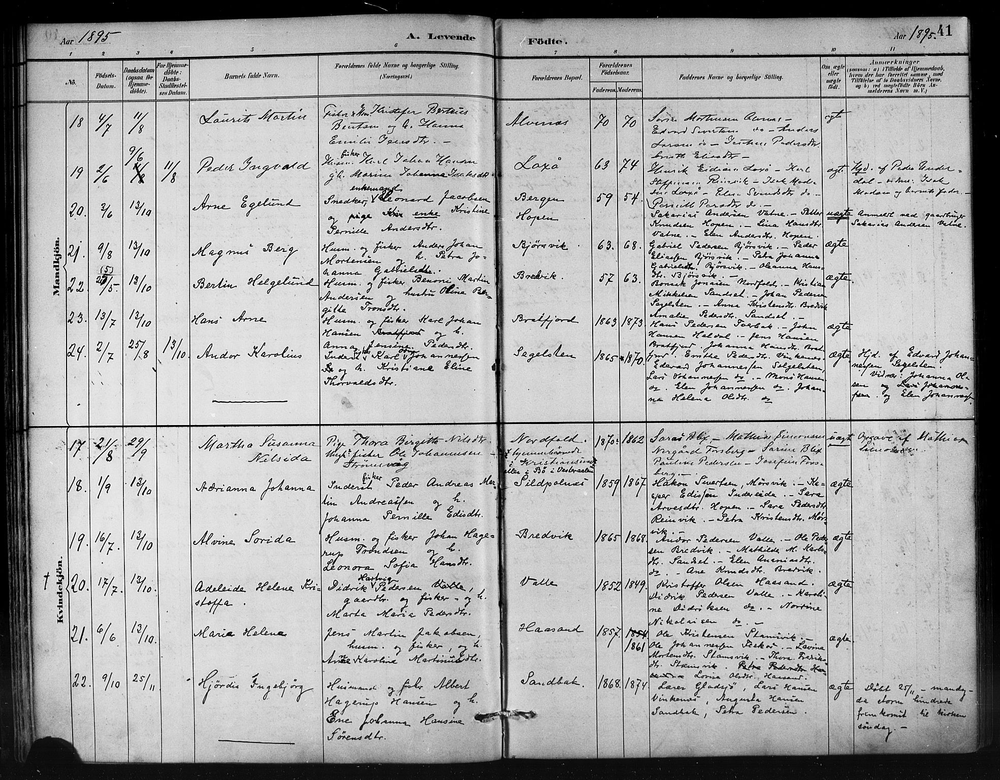 Ministerialprotokoller, klokkerbøker og fødselsregistre - Nordland, AV/SAT-A-1459/858/L0831: Ministerialbok nr. 858A01, 1884-1902, s. 41