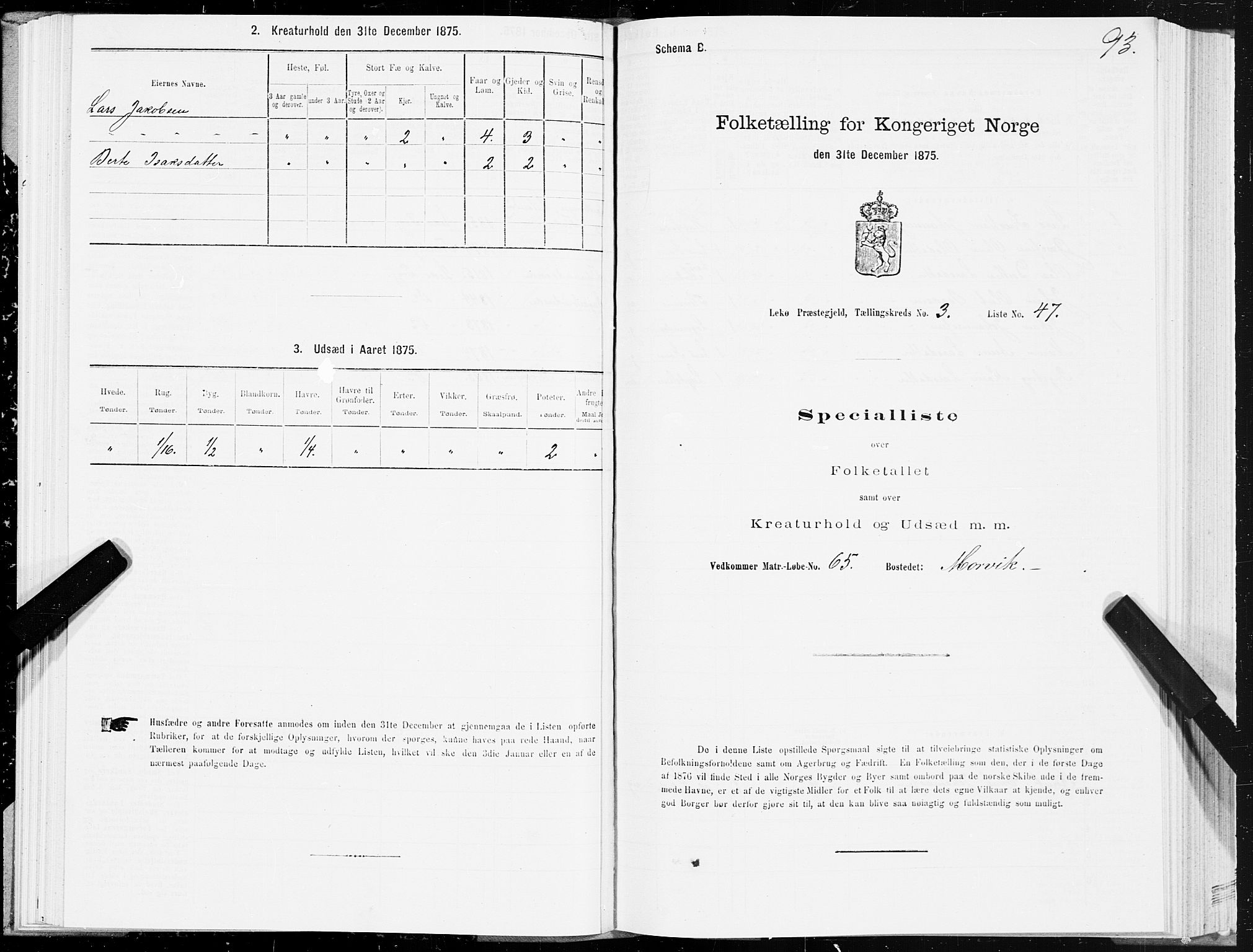 SAT, Folketelling 1875 for 1755P Leka prestegjeld, 1875, s. 2093