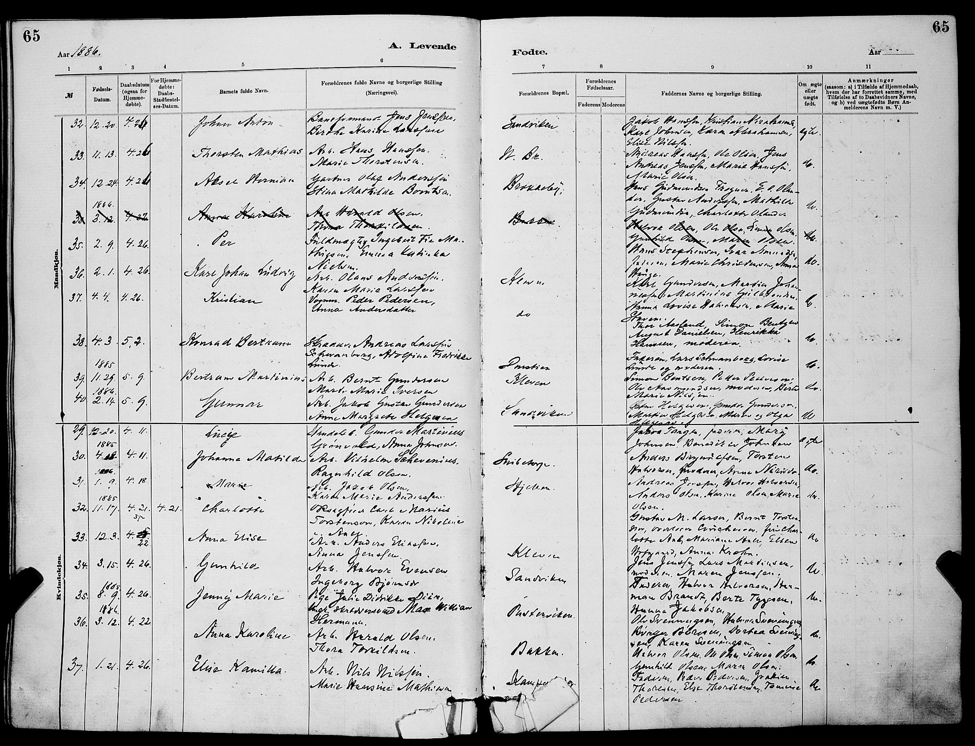 Skien kirkebøker, AV/SAKO-A-302/G/Ga/L0006: Klokkerbok nr. 6, 1881-1890, s. 65