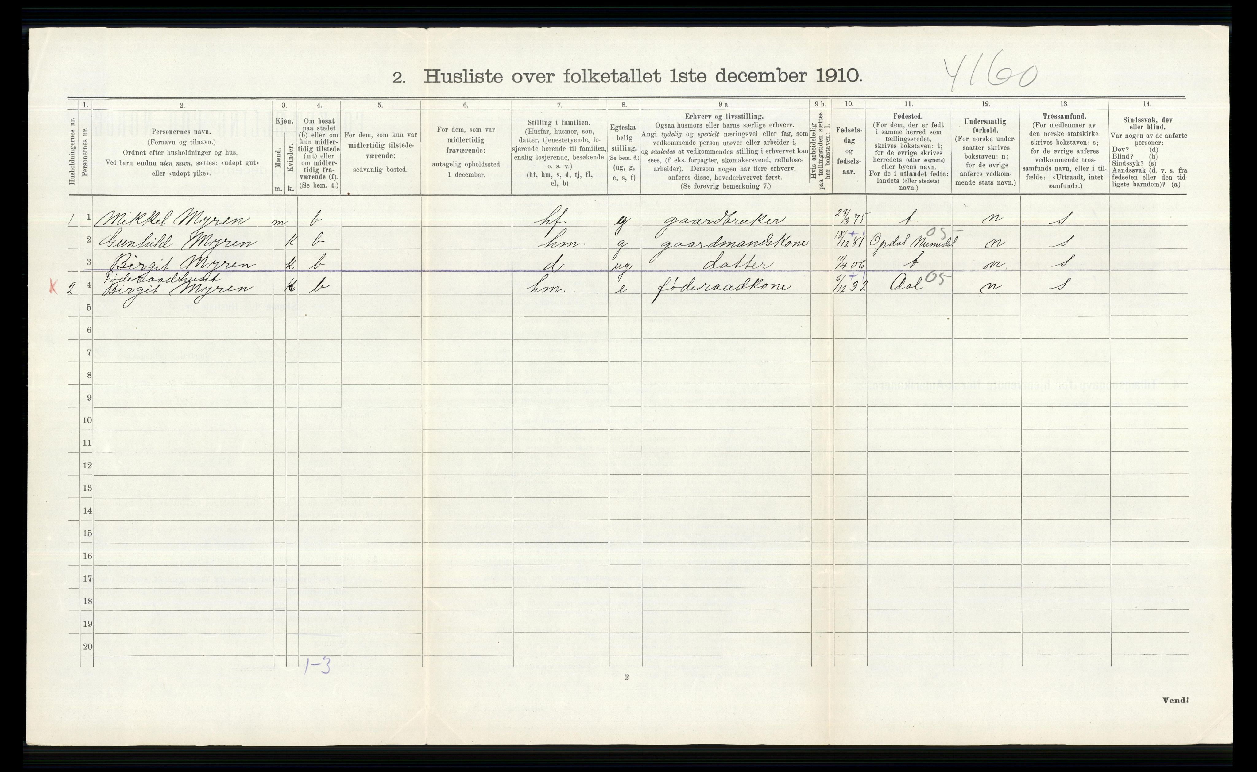 RA, Folketelling 1910 for 0620 Hol herred, 1910, s. 732