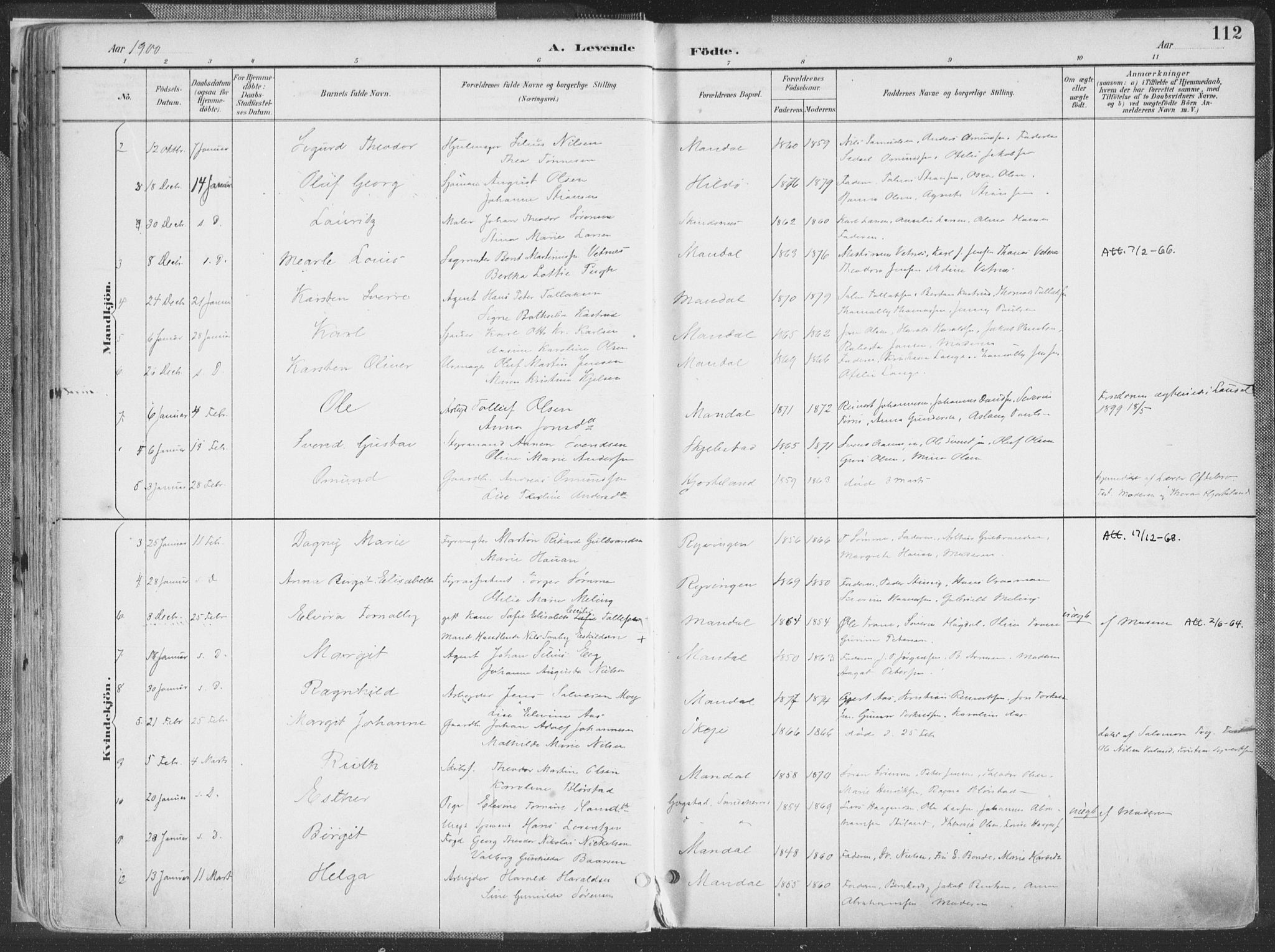 Mandal sokneprestkontor, SAK/1111-0030/F/Fa/Faa/L0018: Ministerialbok nr. A 18, 1890-1905, s. 112