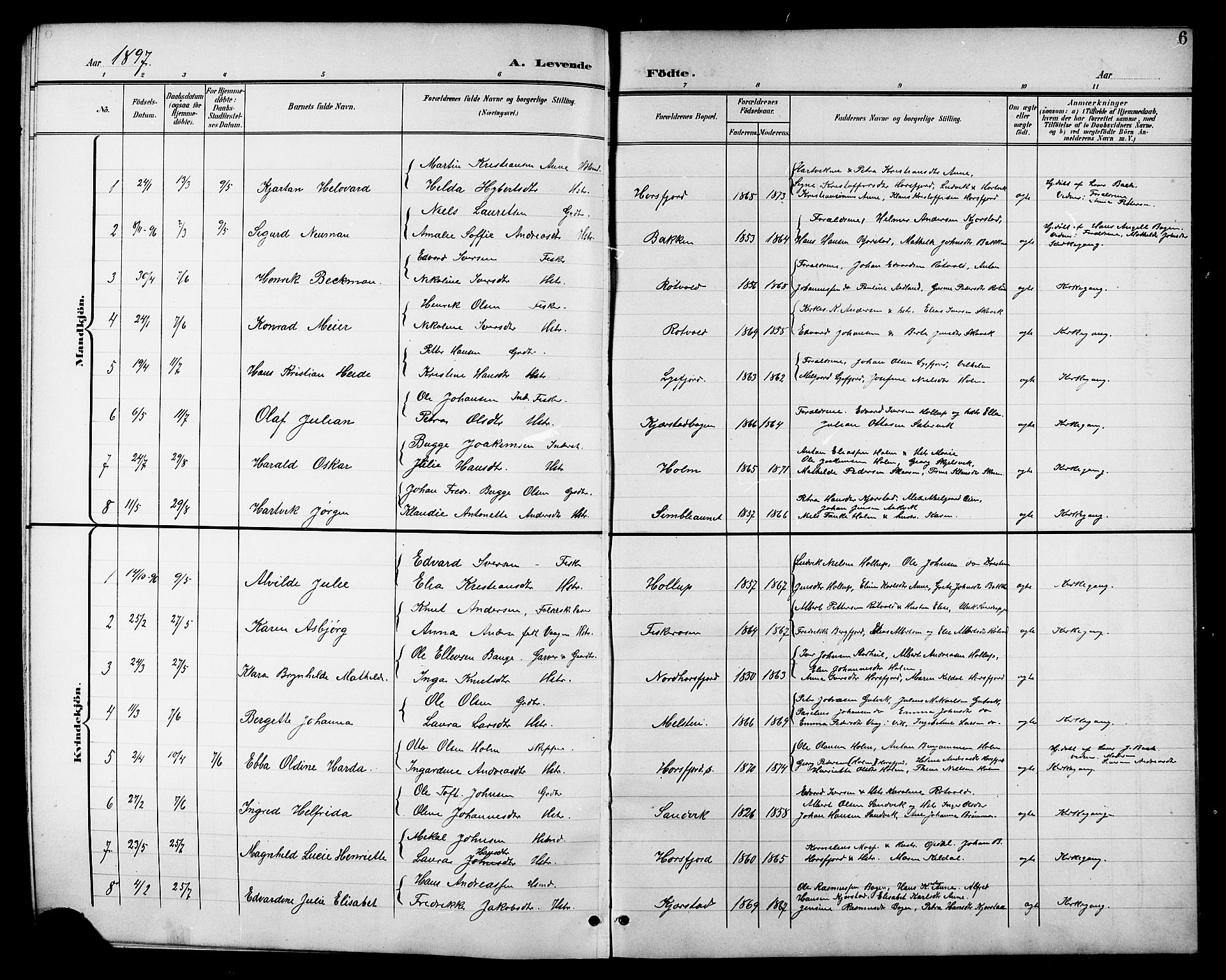 Ministerialprotokoller, klokkerbøker og fødselsregistre - Nordland, AV/SAT-A-1459/811/L0170: Klokkerbok nr. 811C02, 1896-1908, s. 6