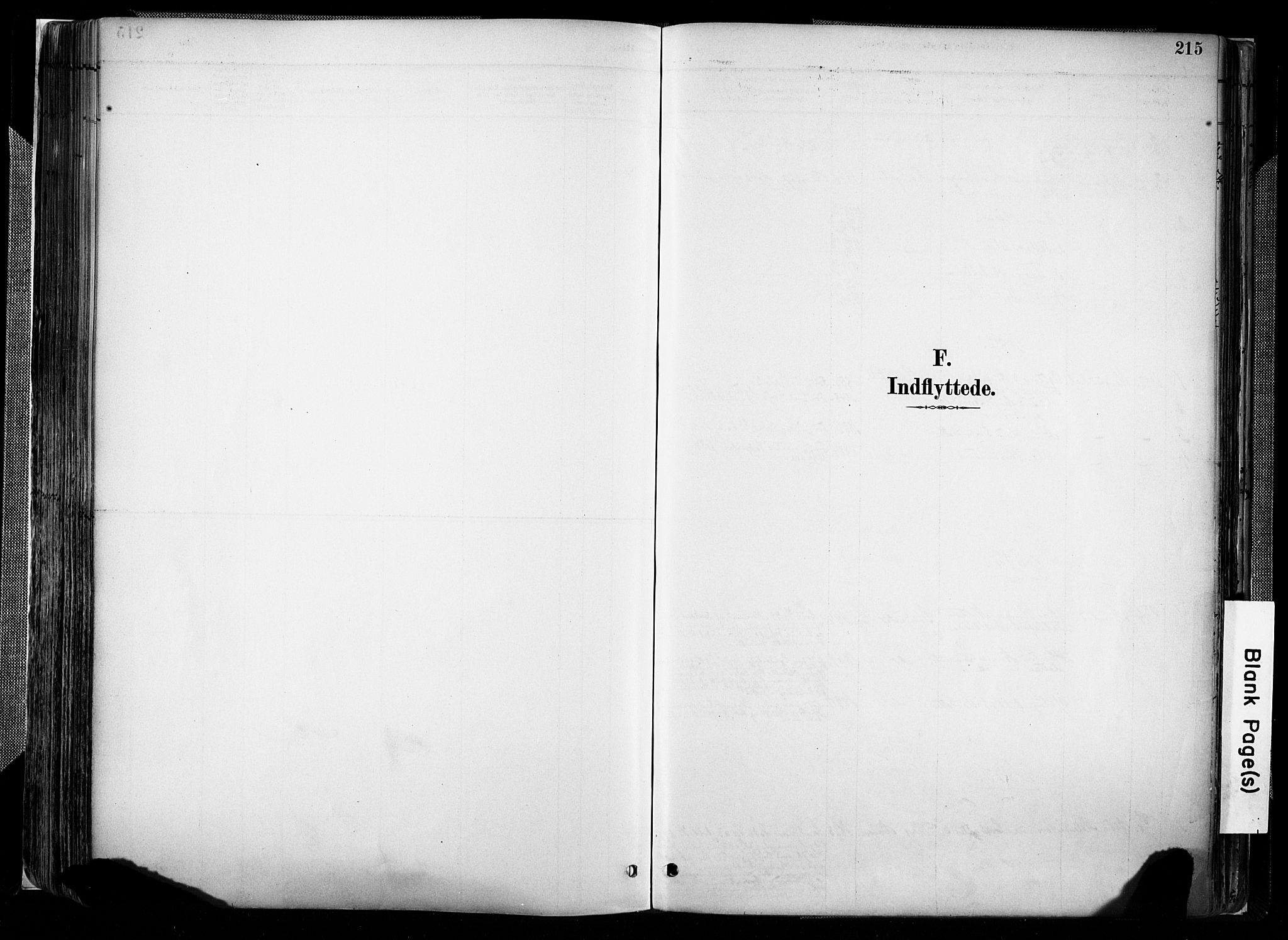 Evje sokneprestkontor, AV/SAK-1111-0008/F/Fa/Faa/L0007: Ministerialbok nr. A 7, 1884-1909, s. 215