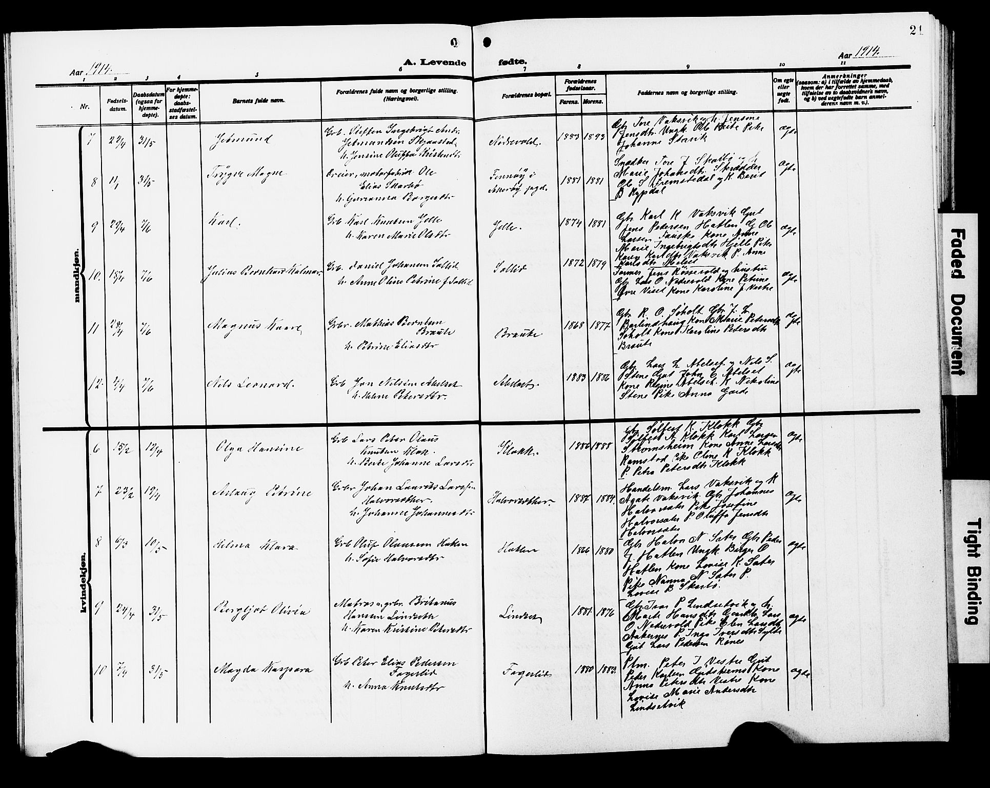 Ministerialprotokoller, klokkerbøker og fødselsregistre - Møre og Romsdal, AV/SAT-A-1454/522/L0328: Klokkerbok nr. 522C07, 1909-1925, s. 21