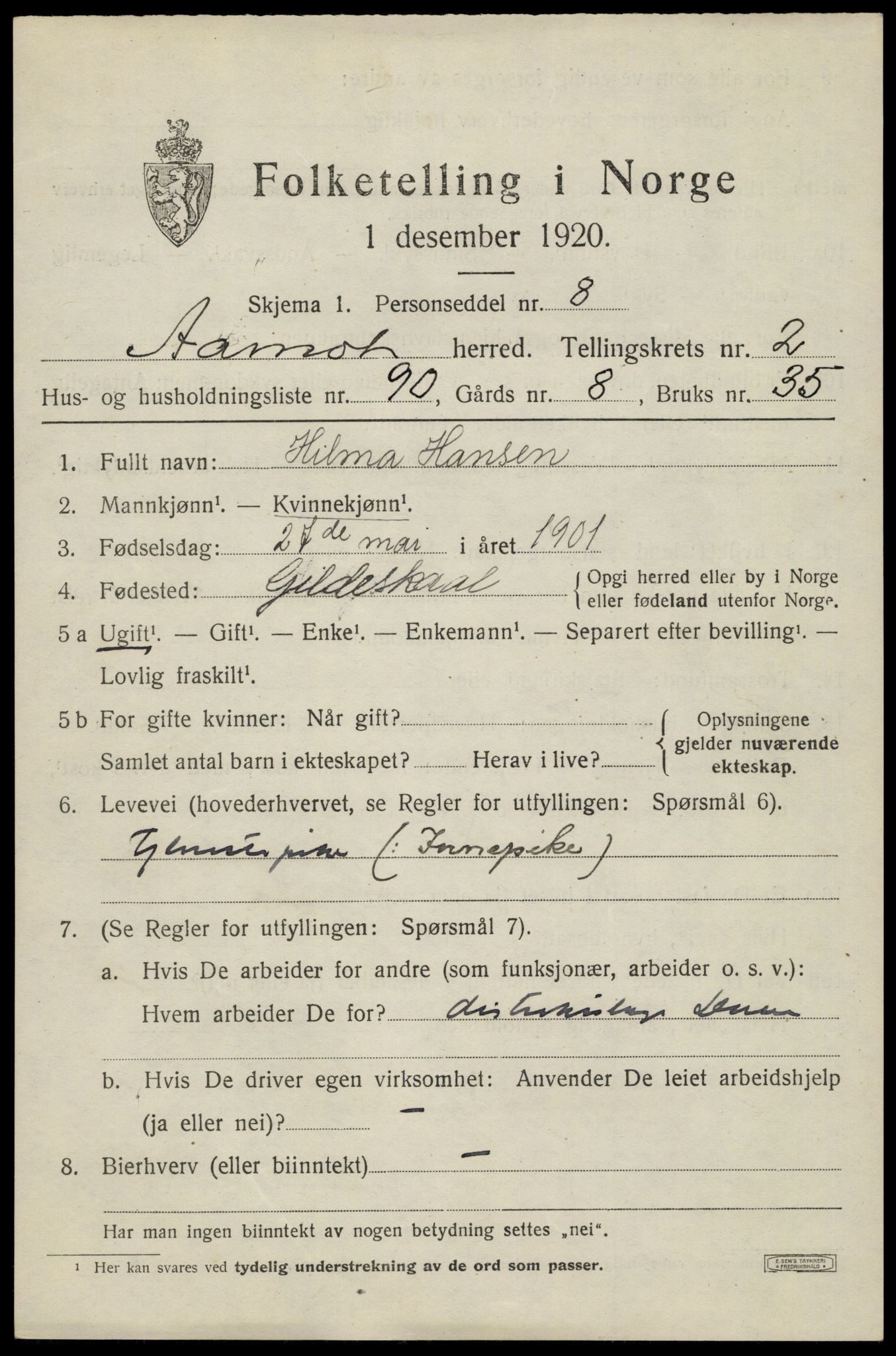 SAH, Folketelling 1920 for 0429 Åmot herred, 1920, s. 3821