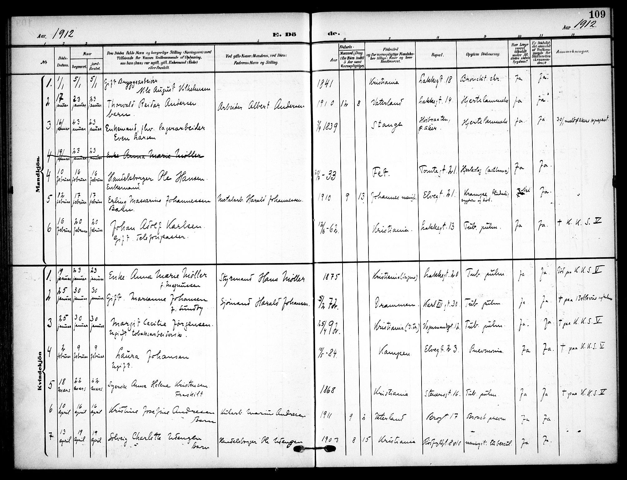 Vaterland prestekontor Kirkebøker, SAO/A-10880/F/Fa/L0002: Ministerialbok nr. 2, 1907-1921, s. 109