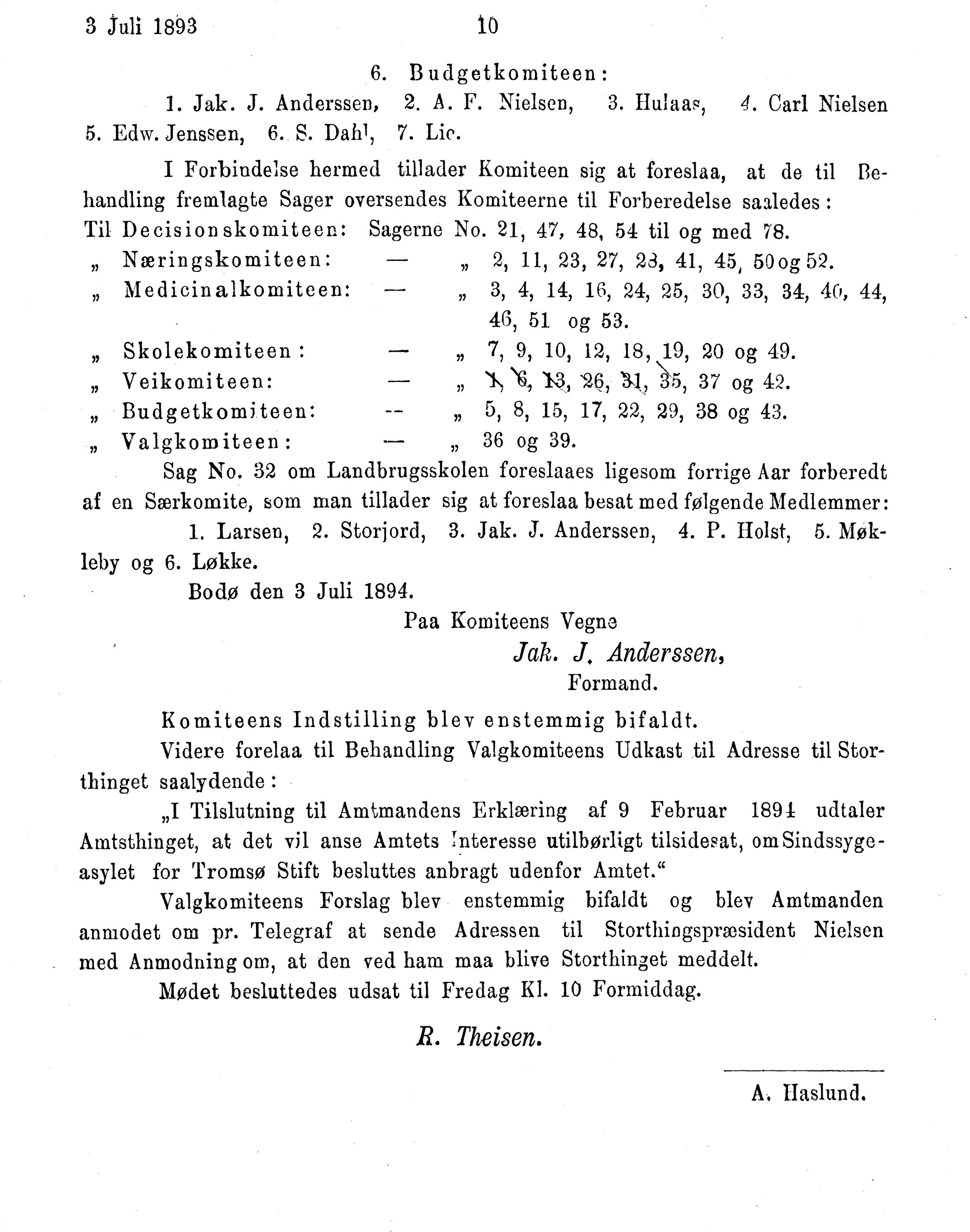 Nordland Fylkeskommune. Fylkestinget, AIN/NFK-17/176/A/Ac/L0017: Fylkestingsforhandlinger 1894, 1894