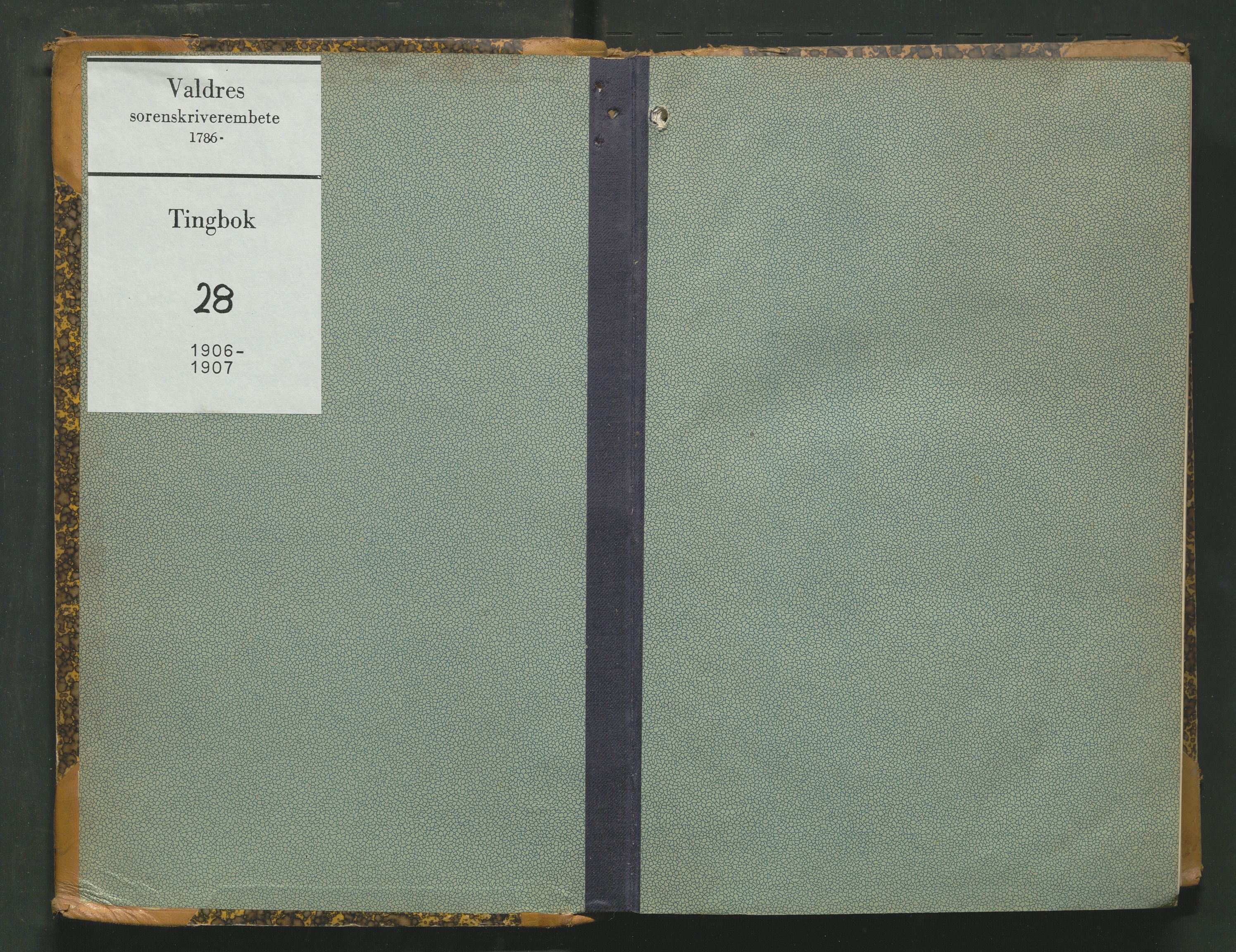 Valdres sorenskriveri, SAH/TING-016/G/Gb/L0028: Tingbok, 1906-1907