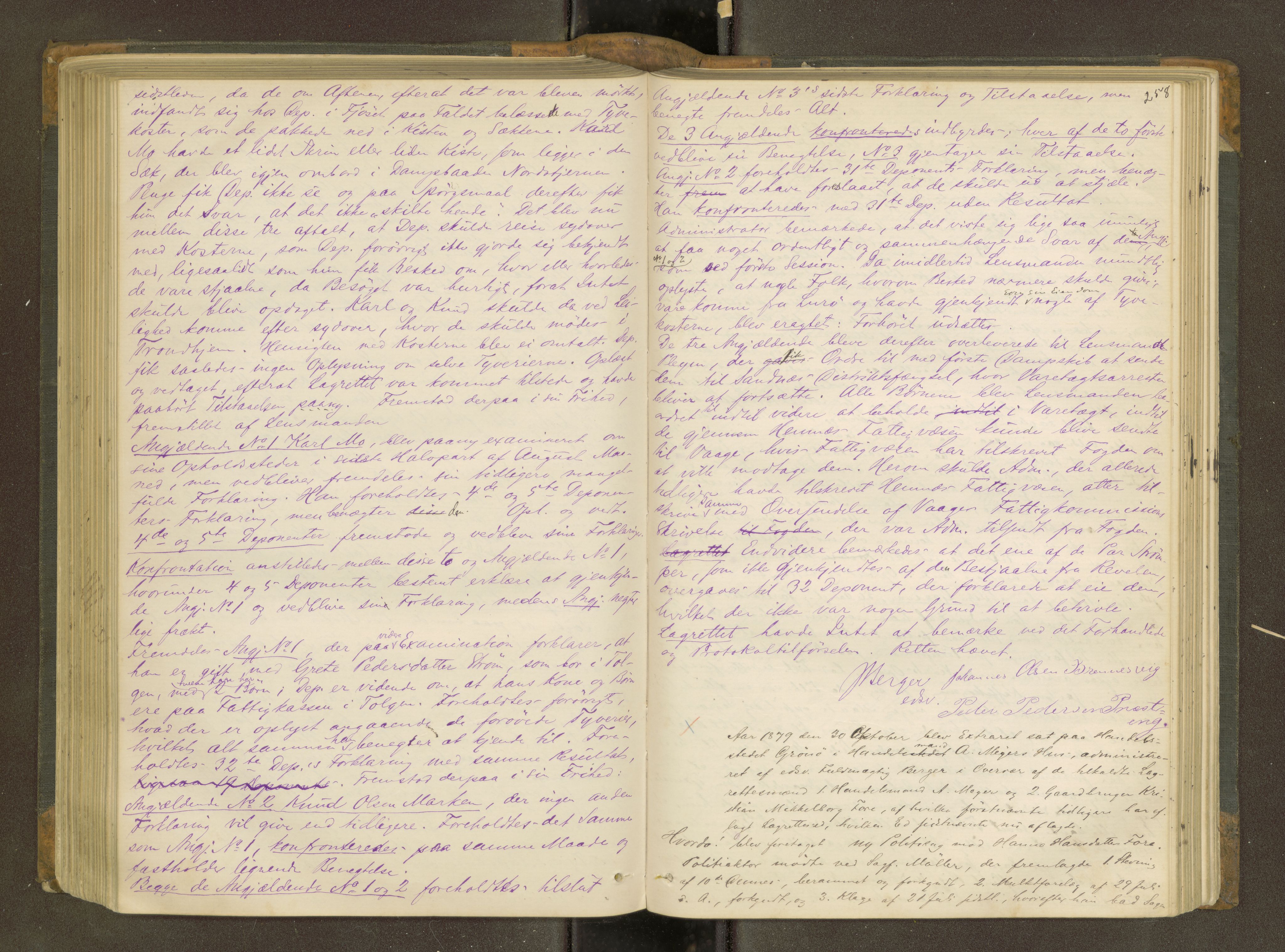 Rana sorenskriveri , AV/SAT-A-1108/1/1/1B/L0011: Ekstrarettsprotokoll, 1876-1885, s. 257b-258a