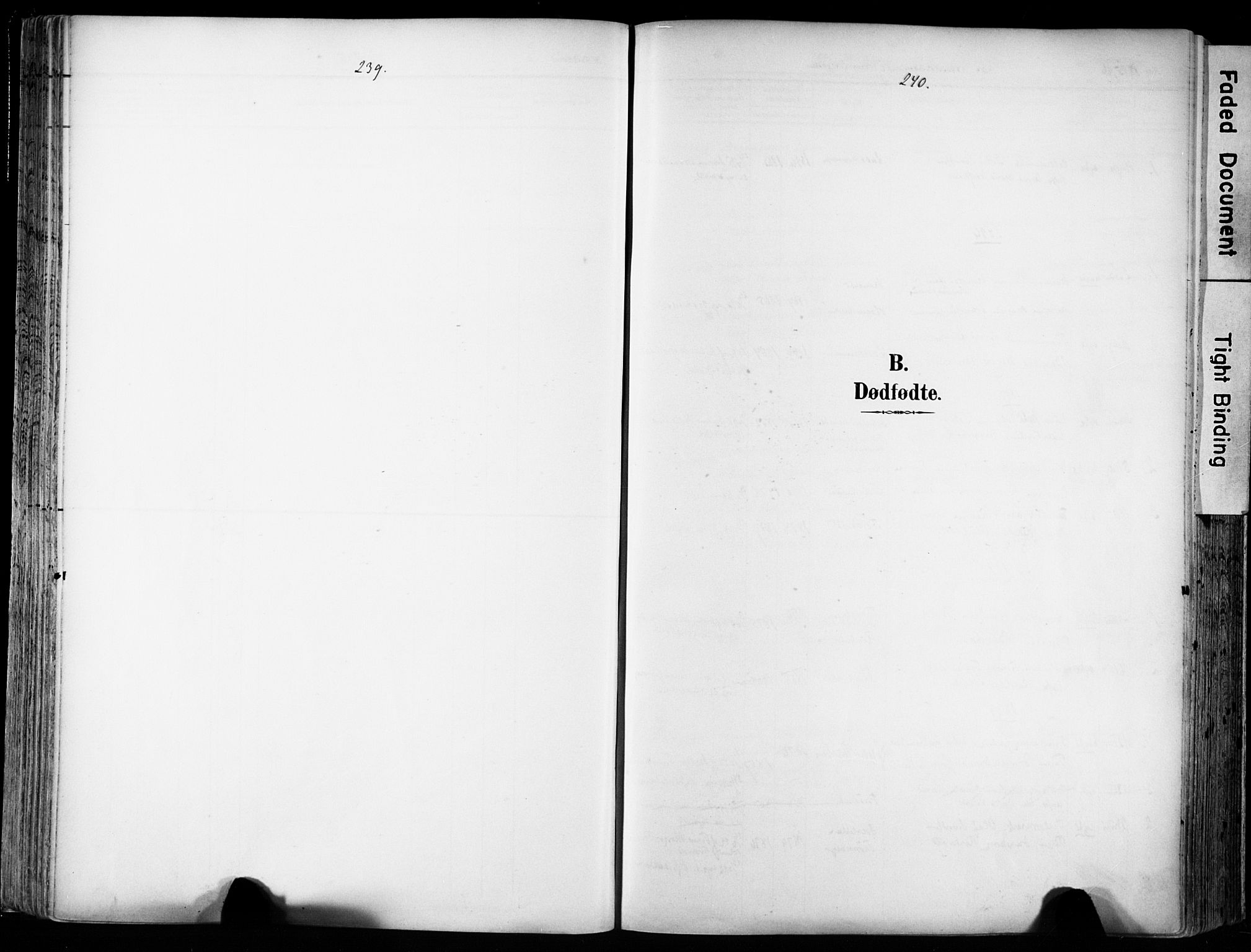 Ministerialprotokoller, klokkerbøker og fødselsregistre - Sør-Trøndelag, AV/SAT-A-1456/606/L0301: Ministerialbok nr. 606A16, 1894-1907, s. 239-240