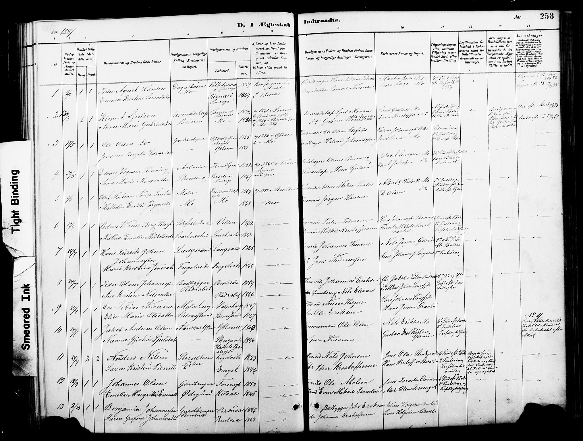 Ministerialprotokoller, klokkerbøker og fødselsregistre - Nordland, AV/SAT-A-1459/827/L0421: Klokkerbok nr. 827C10, 1887-1906, s. 253