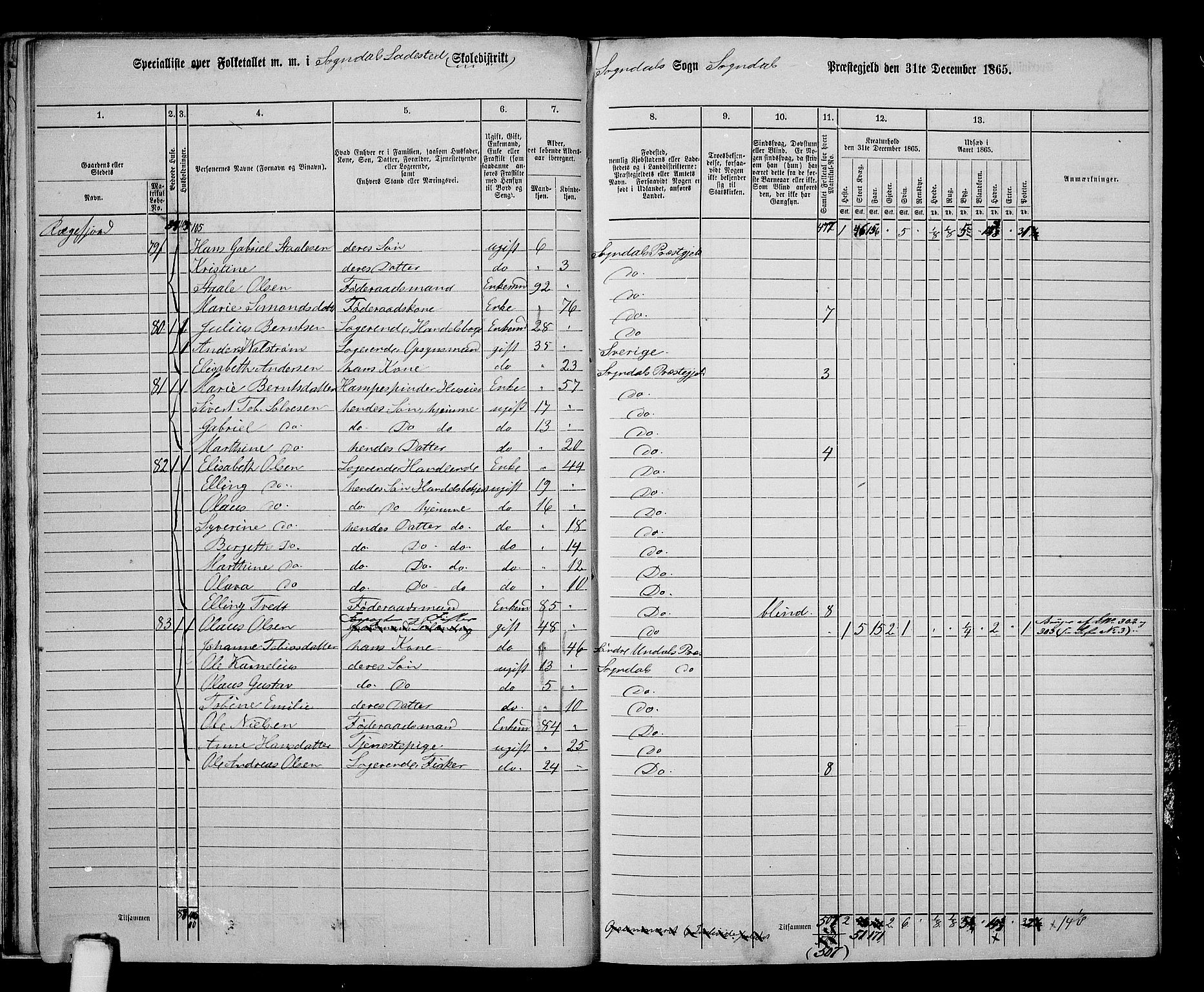 RA, Folketelling 1865 for 1111P Sokndal prestegjeld, 1865, s. 155