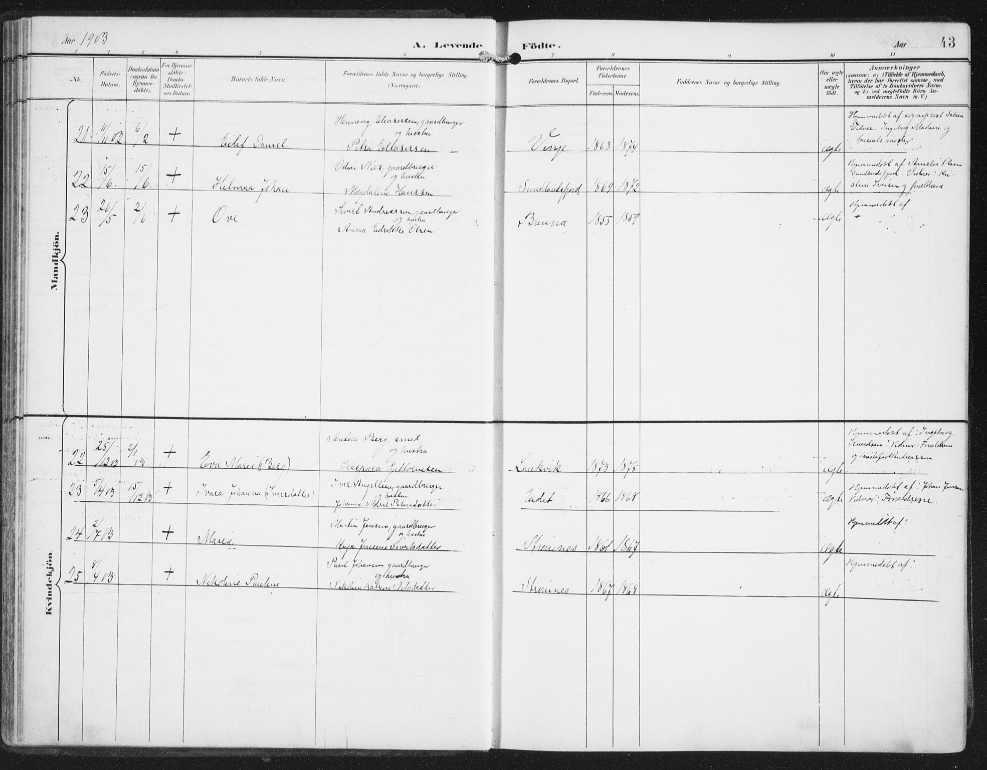 Ministerialprotokoller, klokkerbøker og fødselsregistre - Nordland, SAT/A-1459/876/L1098: Ministerialbok nr. 876A04, 1896-1915, s. 43