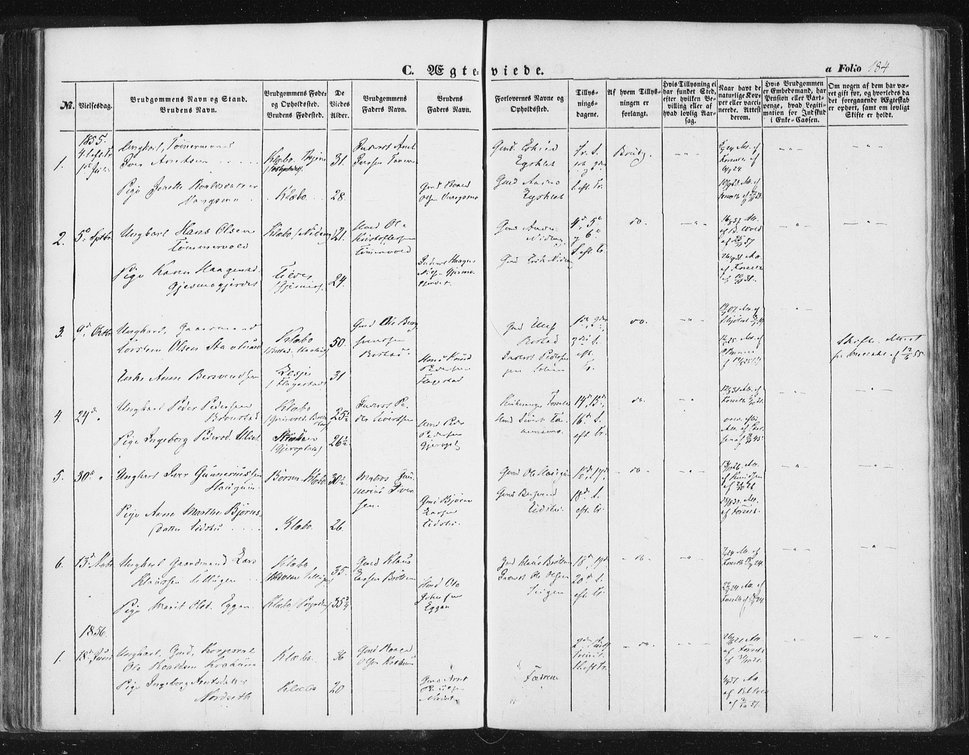 Ministerialprotokoller, klokkerbøker og fødselsregistre - Sør-Trøndelag, SAT/A-1456/618/L0441: Ministerialbok nr. 618A05, 1843-1862, s. 184