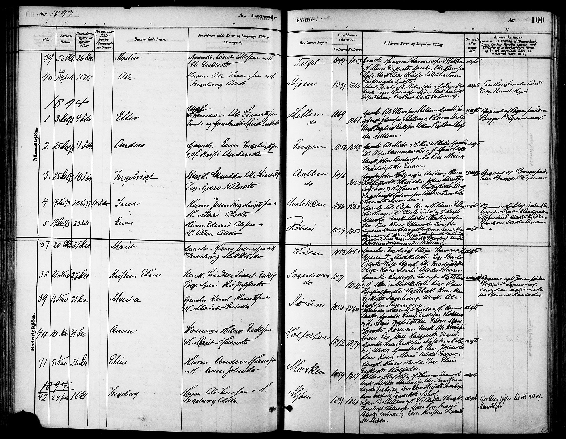 Ministerialprotokoller, klokkerbøker og fødselsregistre - Sør-Trøndelag, SAT/A-1456/678/L0901: Ministerialbok nr. 678A10, 1881-1894, s. 100