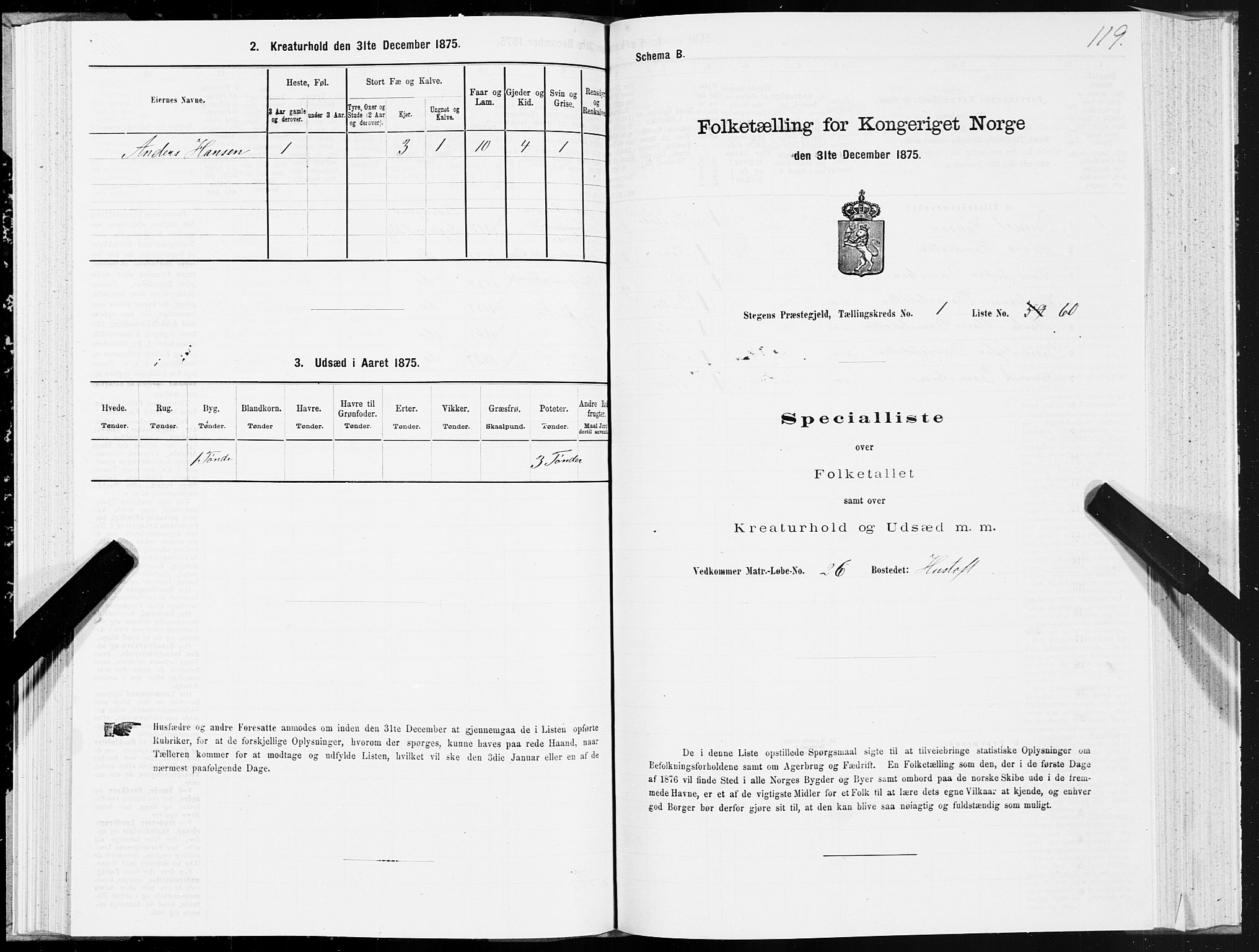 SAT, Folketelling 1875 for 1848P Steigen prestegjeld, 1875, s. 1119