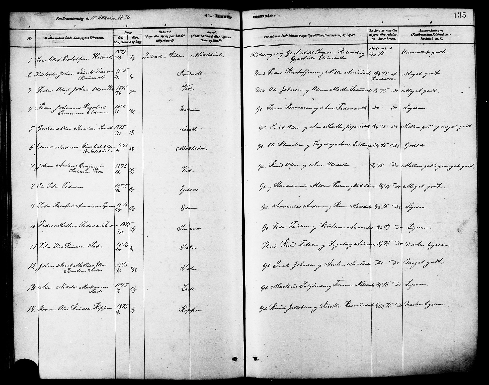 Ministerialprotokoller, klokkerbøker og fødselsregistre - Møre og Romsdal, AV/SAT-A-1454/502/L0027: Klokkerbok nr. 502C01, 1878-1908, s. 135