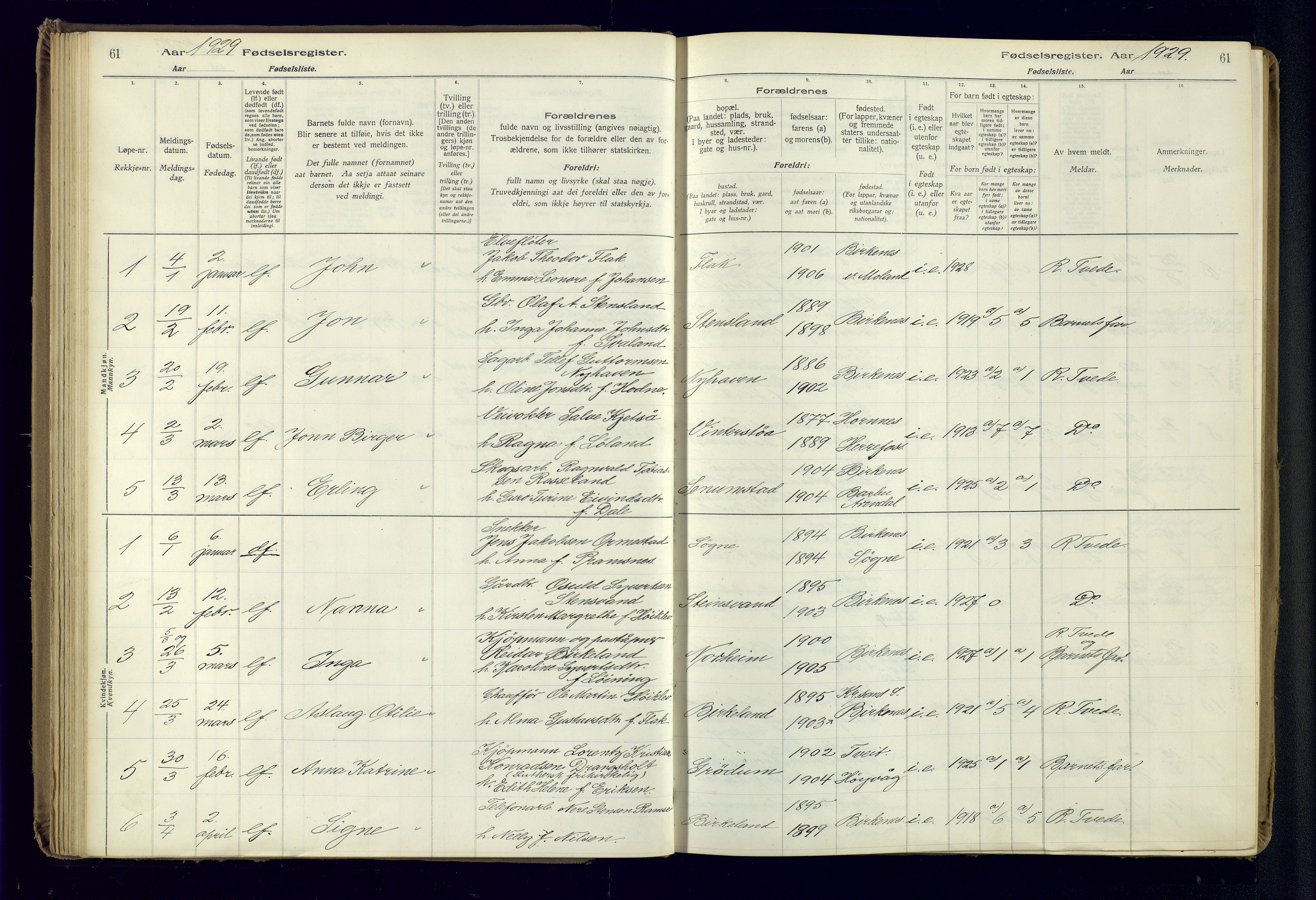 Birkenes sokneprestkontor, SAK/1111-0004/J/Ja/L0001: Fødselsregister nr. II.6.4, 1916-1962, s. 61