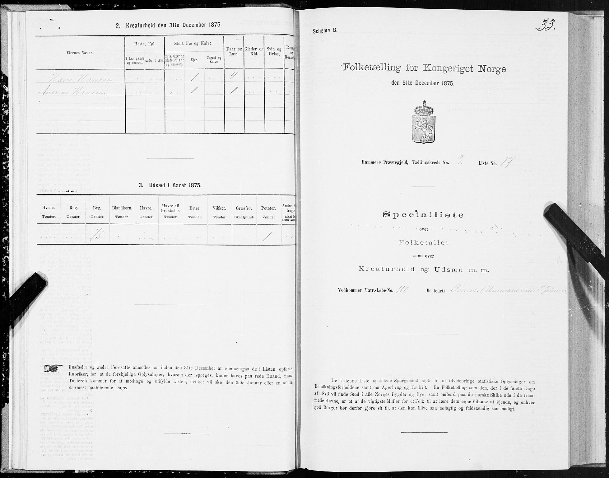 SAT, Folketelling 1875 for 1849P Hamarøy prestegjeld, 1875, s. 2033