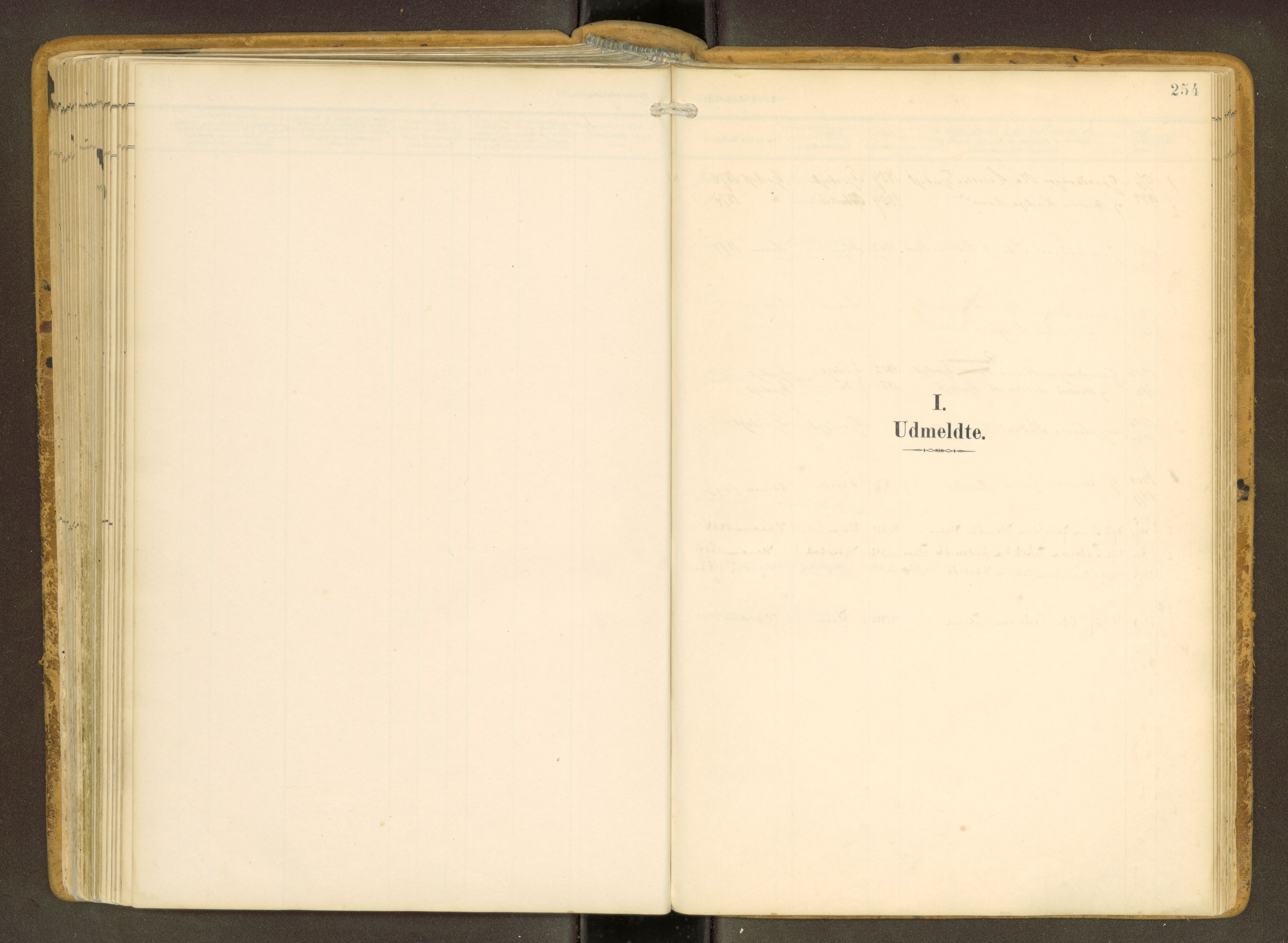 Ministerialprotokoller, klokkerbøker og fødselsregistre - Møre og Romsdal, AV/SAT-A-1454/536/L0517: Ministerialbok nr. 536A--, 1897-1917, s. 254