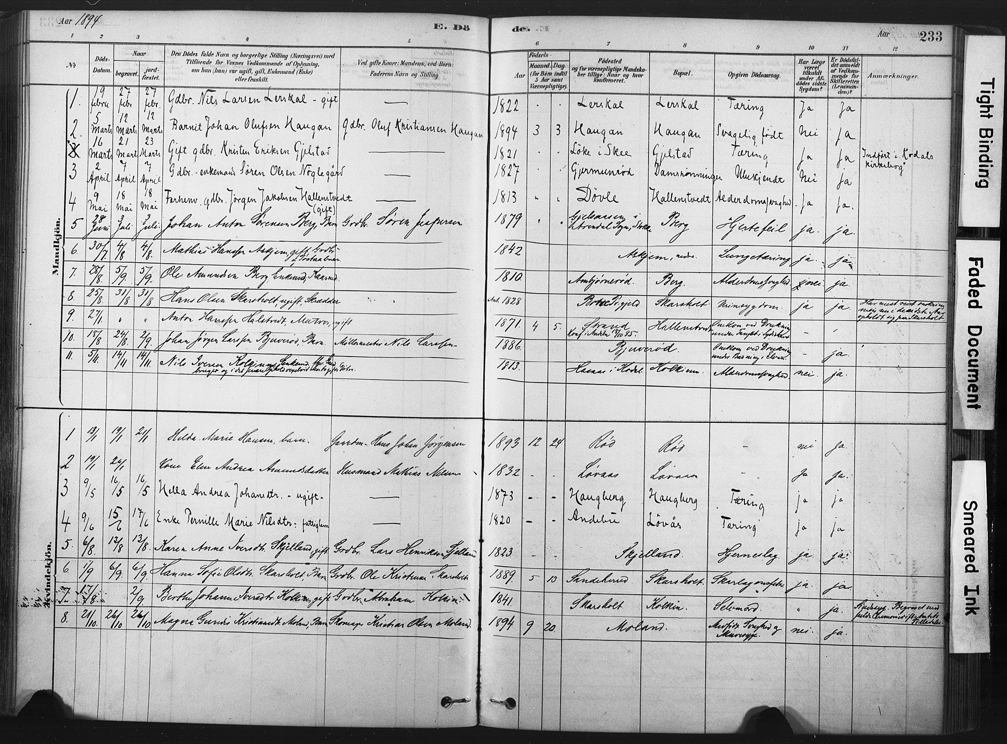 Andebu kirkebøker, AV/SAKO-A-336/F/Fa/L0007: Ministerialbok nr. I 7, 1878-1899, s. 233