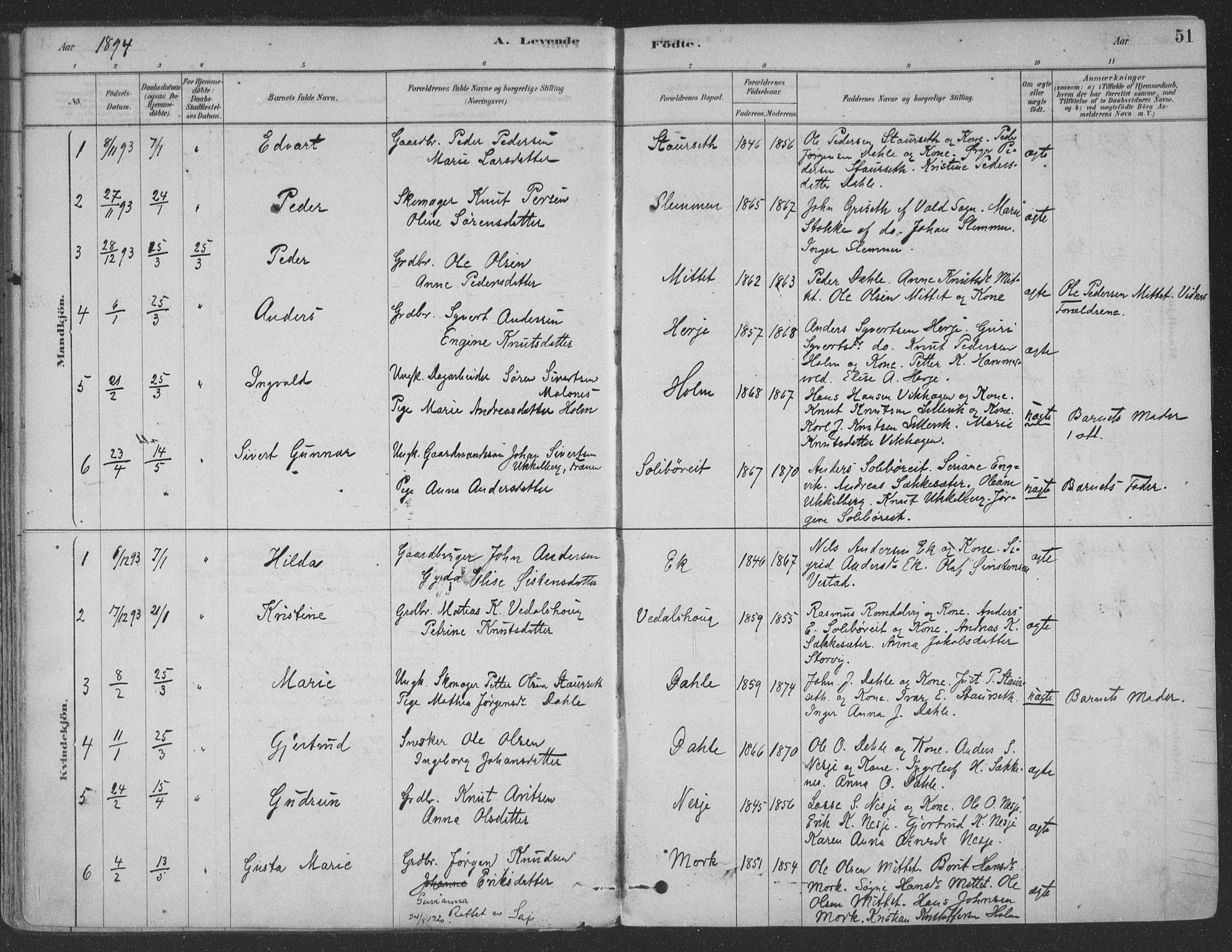 Ministerialprotokoller, klokkerbøker og fødselsregistre - Møre og Romsdal, AV/SAT-A-1454/547/L0604: Ministerialbok nr. 547A06, 1878-1906, s. 51