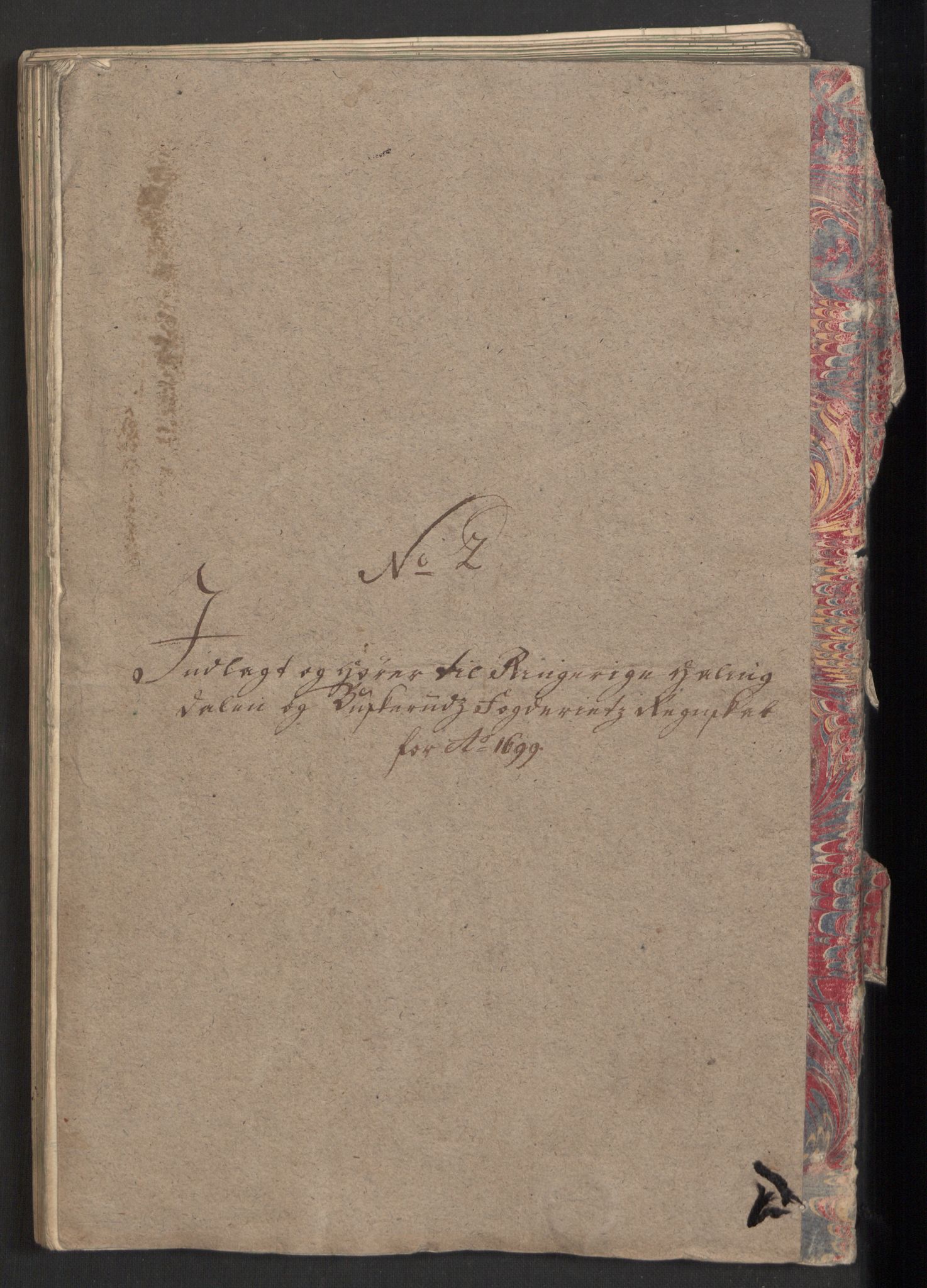 Rentekammeret inntil 1814, Reviderte regnskaper, Fogderegnskap, RA/EA-4092/R22/L1456: Fogderegnskap Ringerike, Hallingdal og Buskerud, 1699, s. 224
