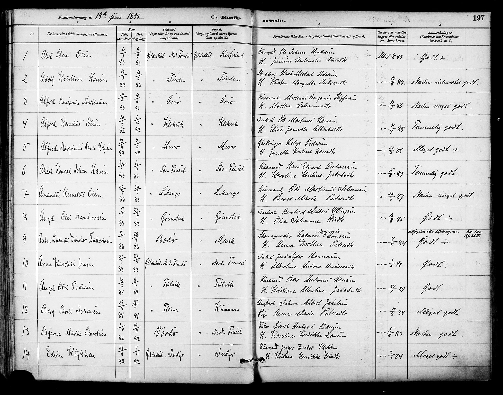 Ministerialprotokoller, klokkerbøker og fødselsregistre - Nordland, AV/SAT-A-1459/805/L0101: Ministerialbok nr. 805A07, 1892-1899, s. 197