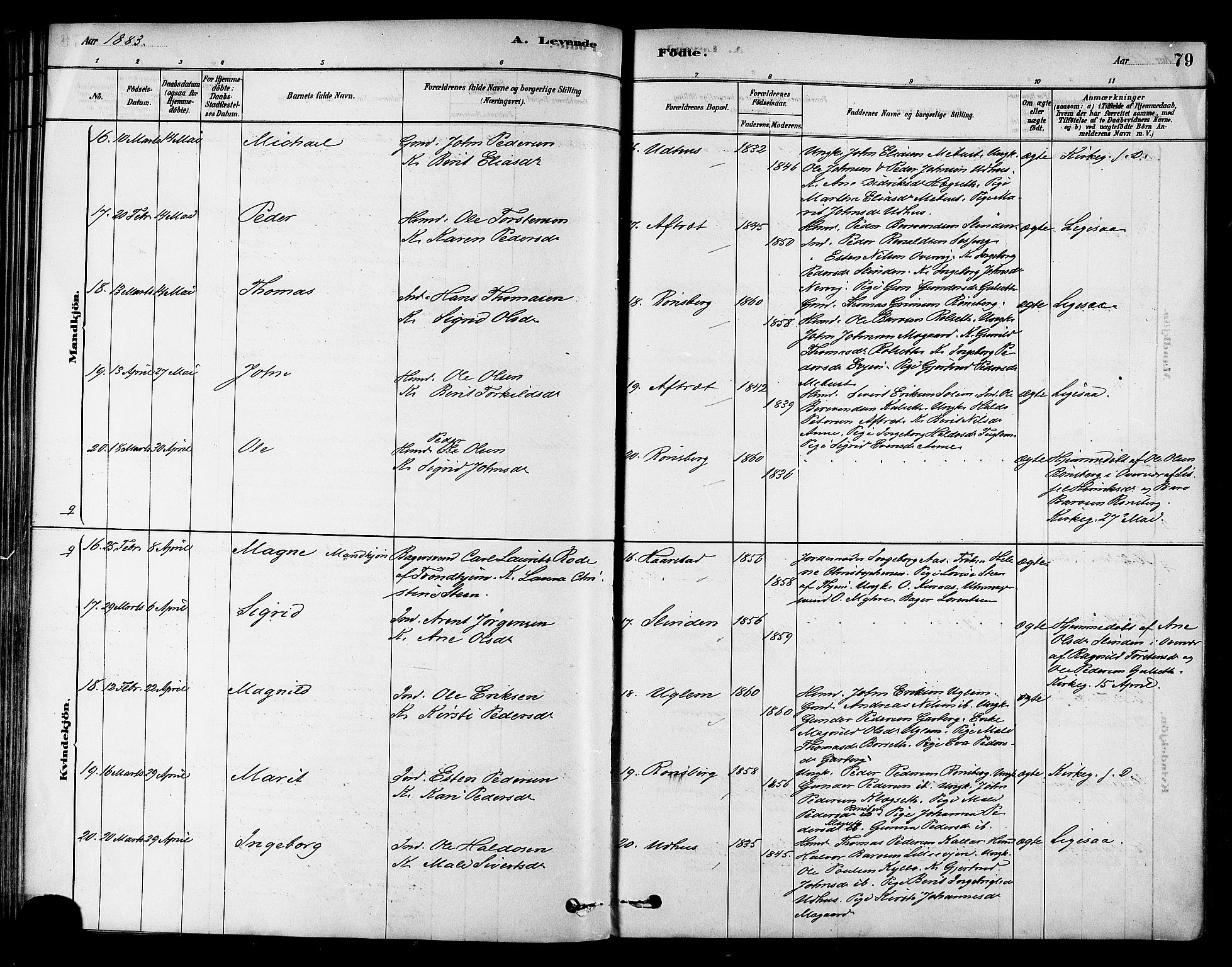 Ministerialprotokoller, klokkerbøker og fødselsregistre - Sør-Trøndelag, AV/SAT-A-1456/695/L1148: Ministerialbok nr. 695A08, 1878-1891, s. 79