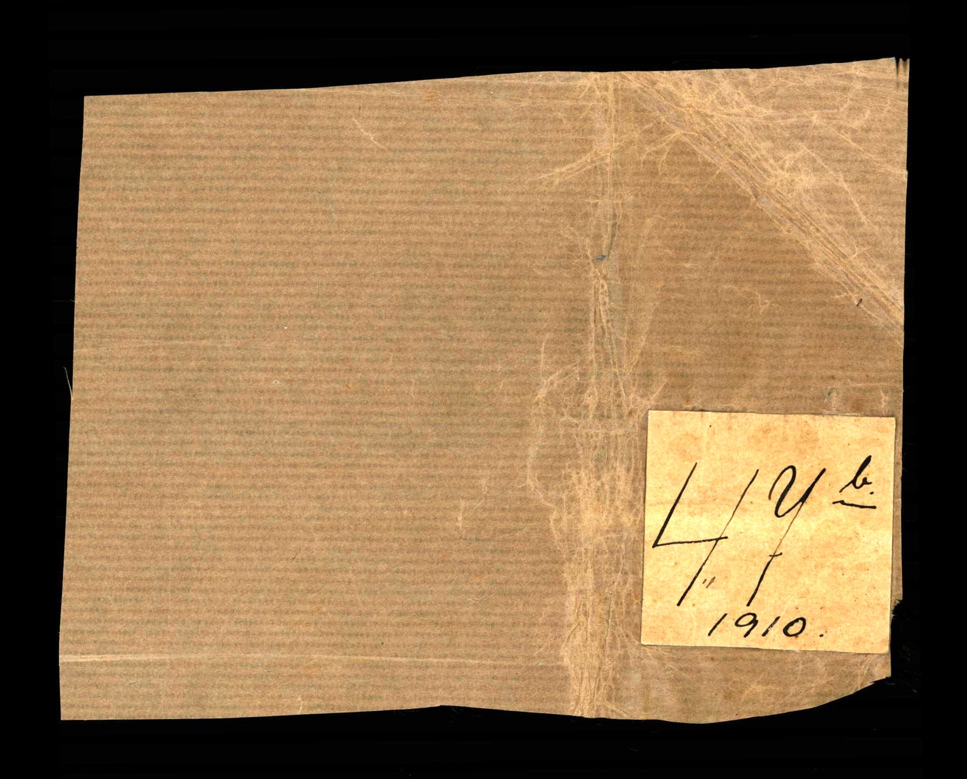 RA, Folketelling 1910 for 0236 Nes herred, 1910, s. 534