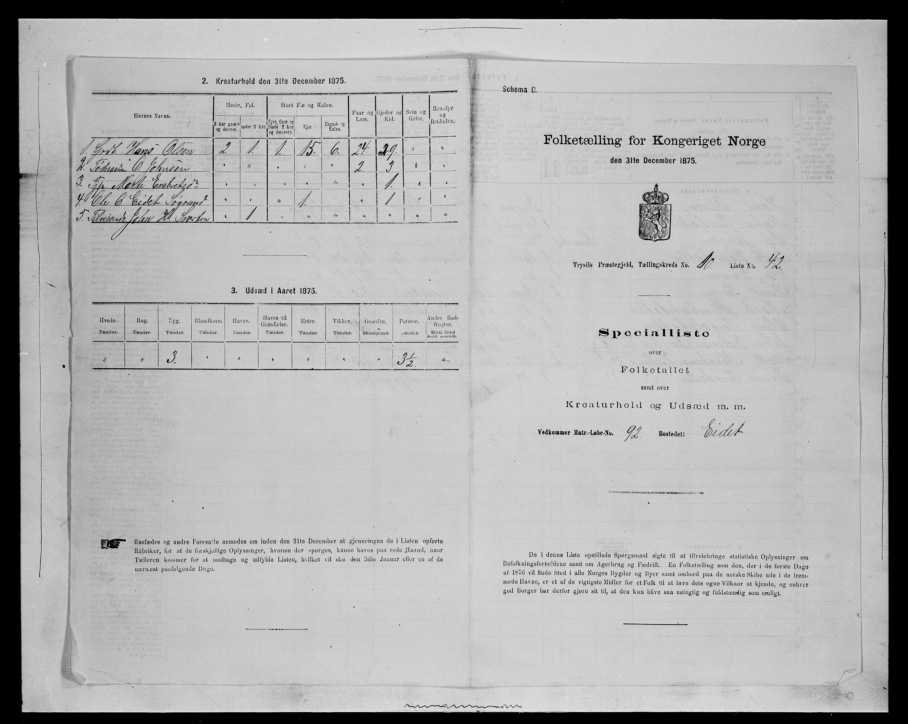 SAH, Folketelling 1875 for 0428P Trysil prestegjeld, 1875, s. 1222