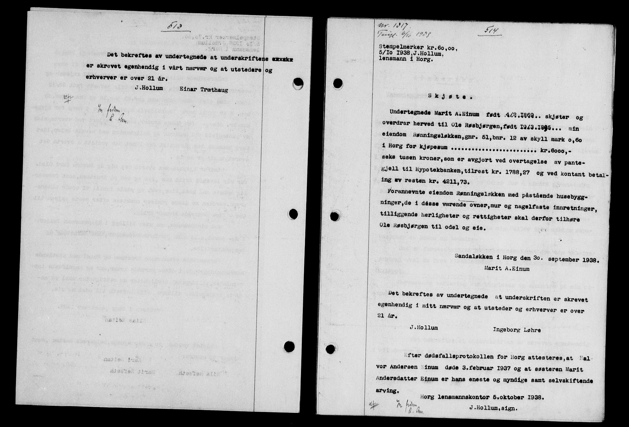 Gauldal sorenskriveri, SAT/A-0014/1/2/2C/L0049: Pantebok nr. 53, 1938-1938, Dagboknr: 1317/1938