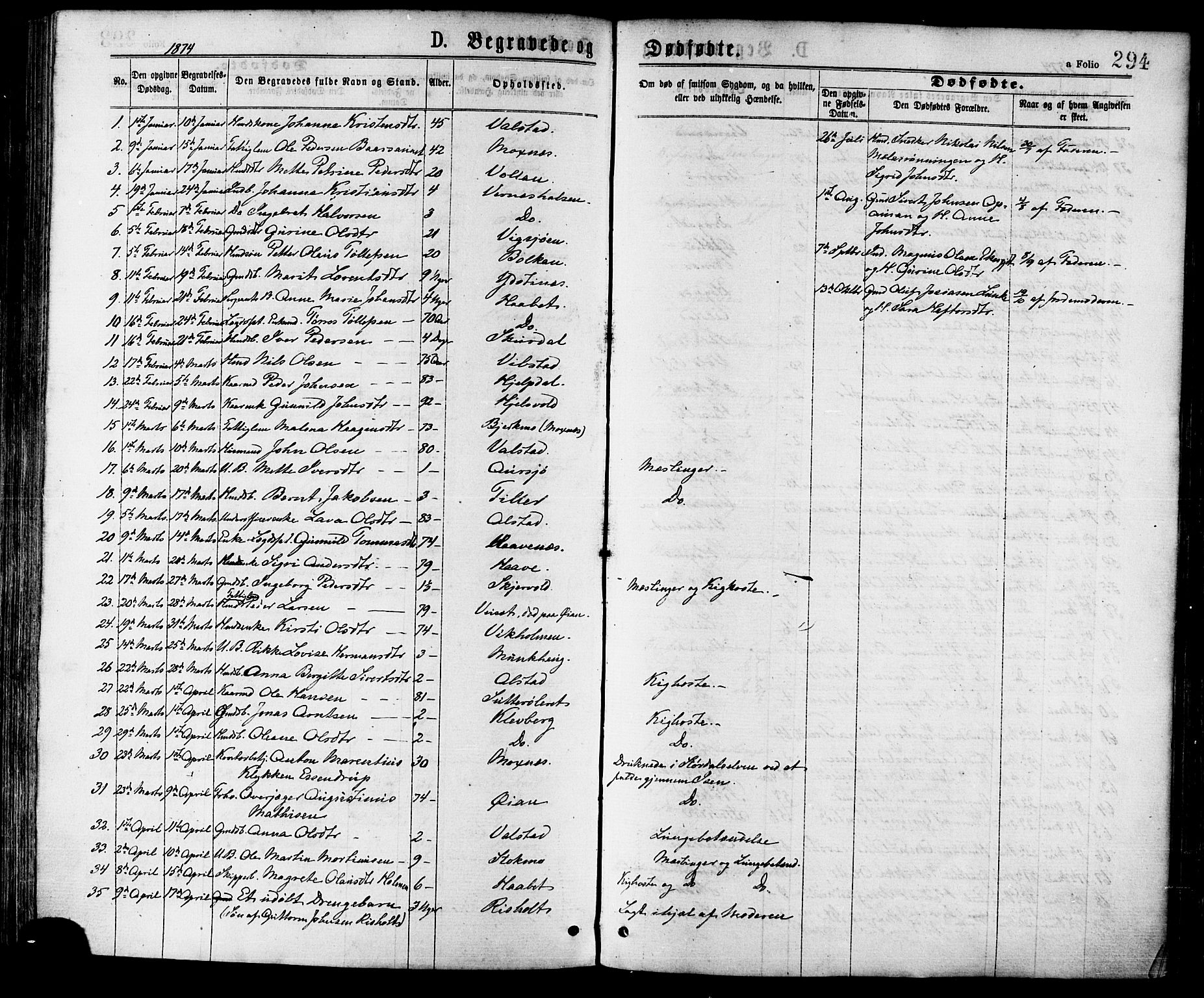 Ministerialprotokoller, klokkerbøker og fødselsregistre - Nord-Trøndelag, AV/SAT-A-1458/709/L0076: Ministerialbok nr. 709A16, 1871-1879, s. 294