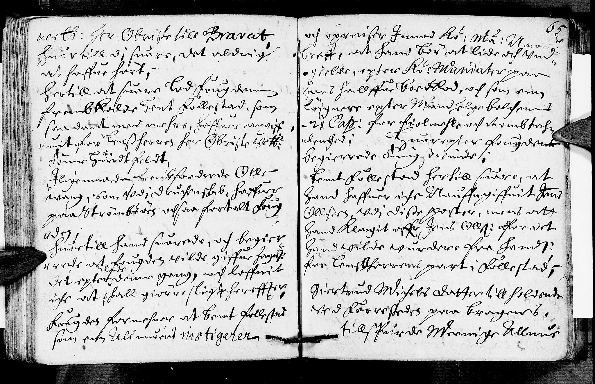 Lier, Røyken og Hurum sorenskriveri, SAKO/A-89/F/Fa/L0014: Tingbok, 1673, s. 65