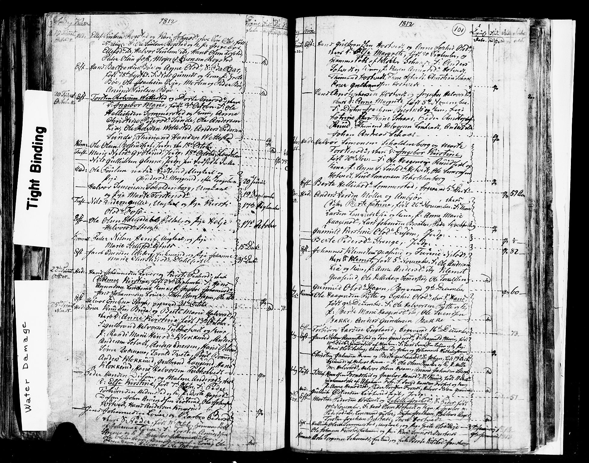 Sandsvær kirkebøker, SAKO/A-244/G/Ga/L0002: Klokkerbok nr. I 2, 1796-1817, s. 101