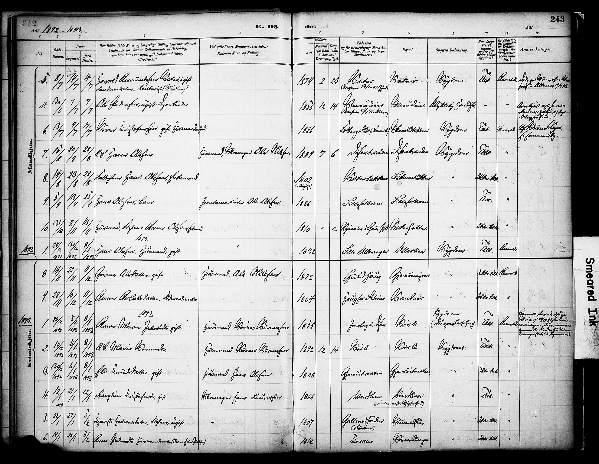 Sør-Odal prestekontor, SAH/PREST-030/H/Ha/Haa/L0008: Ministerialbok nr. 8, 1886-1922, s. 243