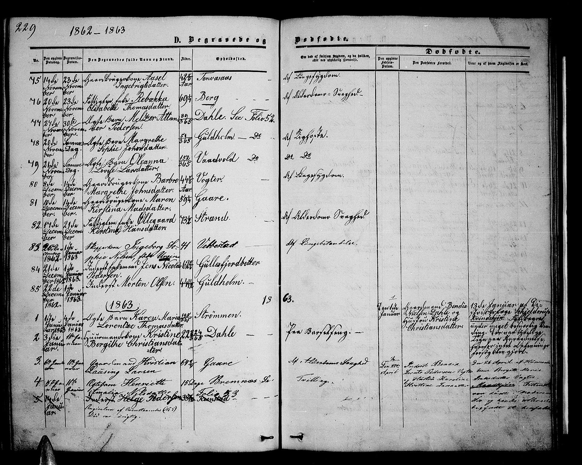 Kvæfjord sokneprestkontor, AV/SATØ-S-1323/G/Ga/Gab/L0003klokker: Klokkerbok nr. 3, 1856-1870, s. 229