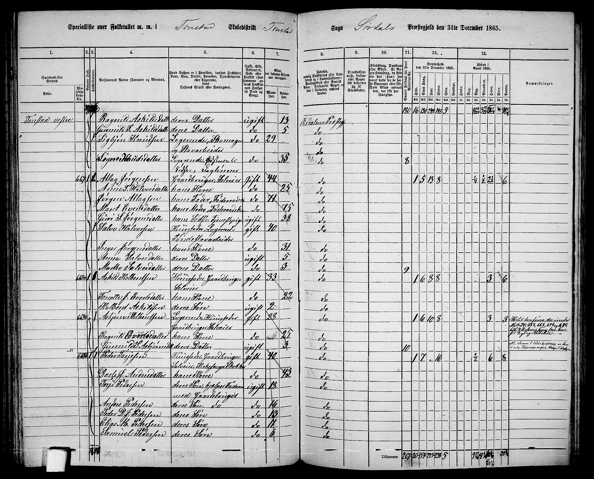 RA, Folketelling 1865 for 1046P Sirdal prestegjeld, 1865, s. 31