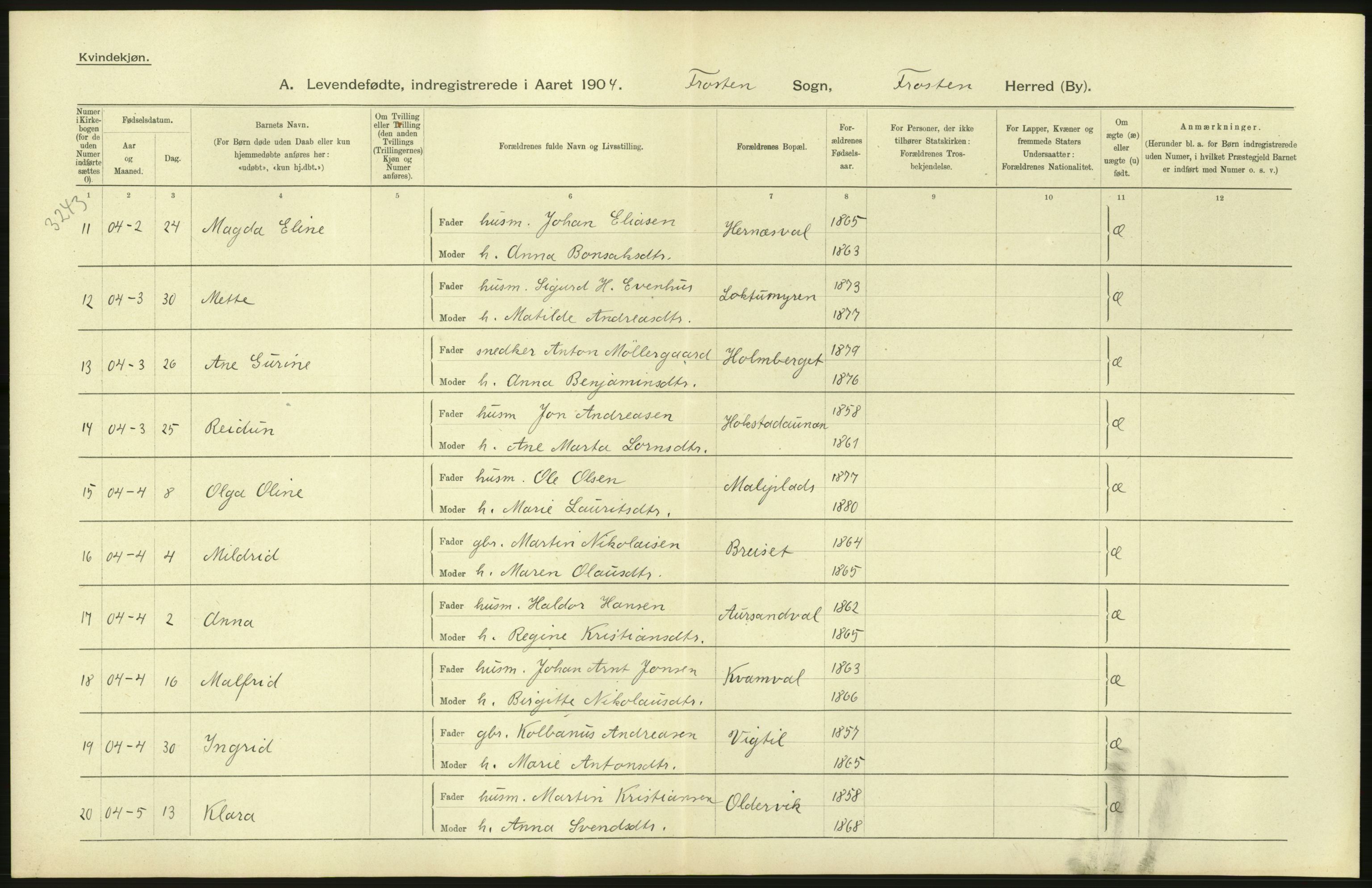 Statistisk sentralbyrå, Sosiodemografiske emner, Befolkning, AV/RA-S-2228/D/Df/Dfa/Dfab/L0019: Nordre Trondhjems amt: Fødte, gifte, døde, 1904, s. 102