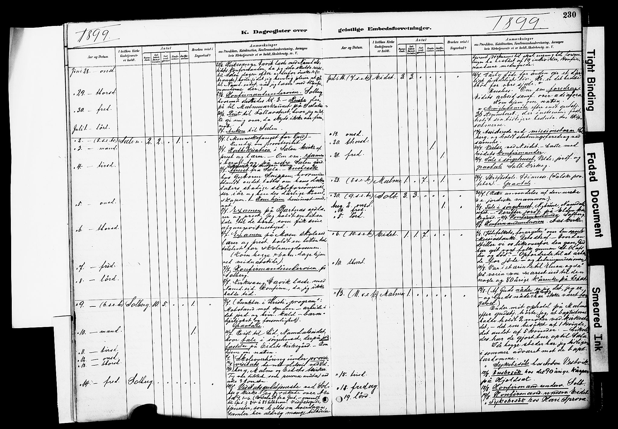 Ministerialprotokoller, klokkerbøker og fødselsregistre - Nord-Trøndelag, AV/SAT-A-1458/741/L0396: Ministerialbok nr. 741A10, 1889-1901, s. 230