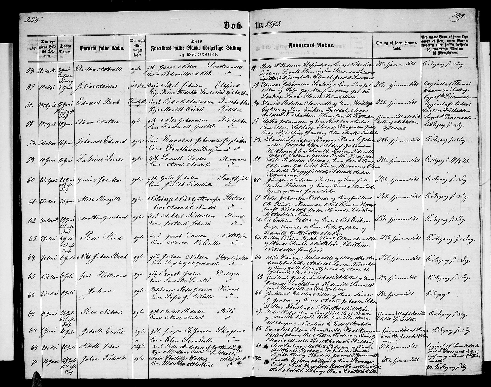 Ministerialprotokoller, klokkerbøker og fødselsregistre - Nordland, AV/SAT-A-1459/825/L0365: Klokkerbok nr. 825C02, 1858-1873, s. 238-239