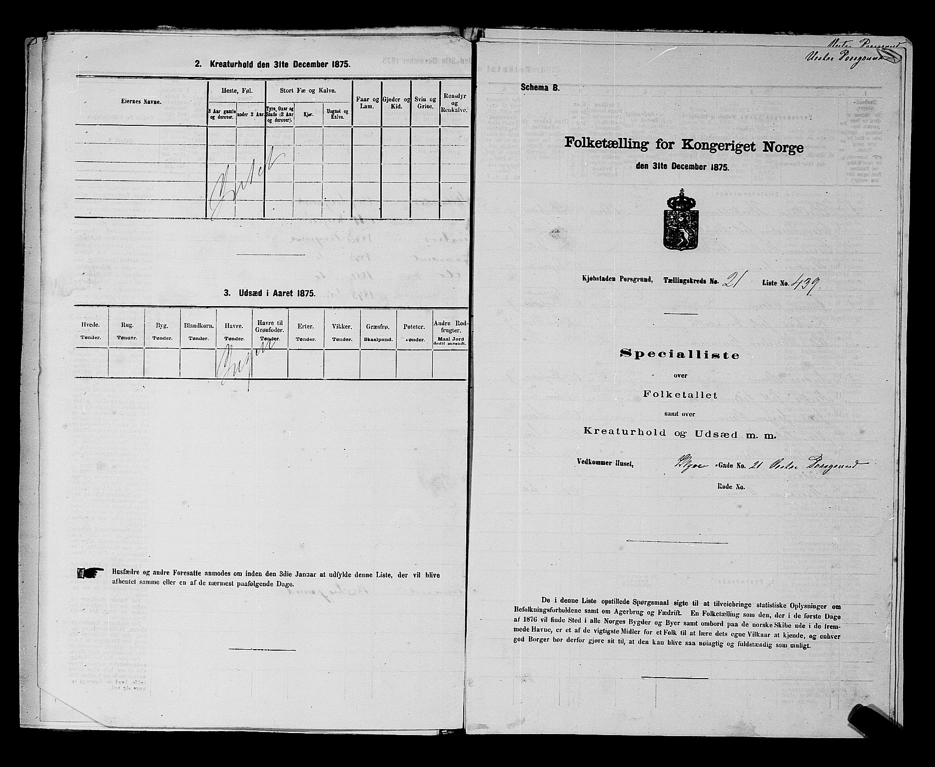SAKO, Folketelling 1875 for 0805P Porsgrunn prestegjeld, 1875, s. 985