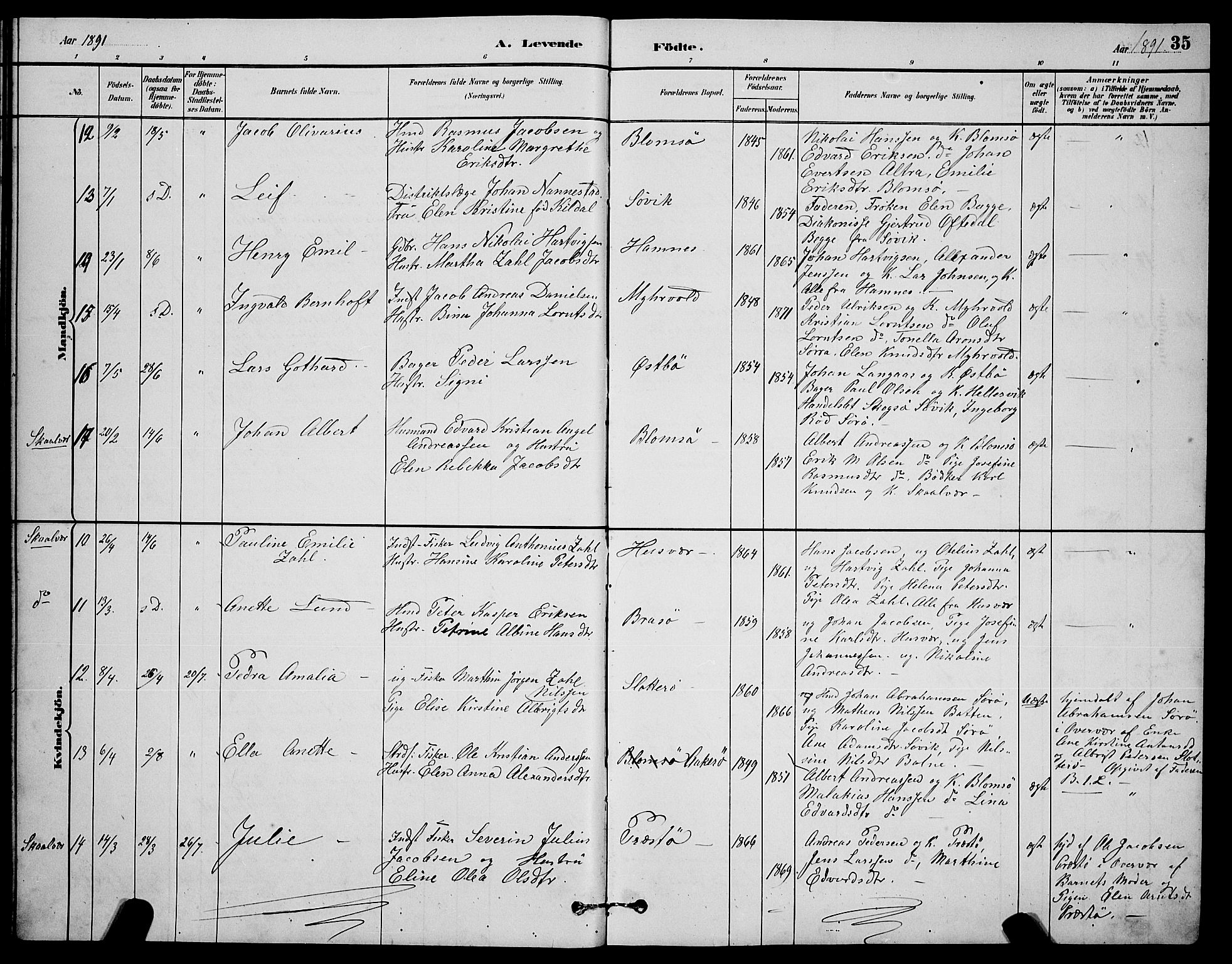 Ministerialprotokoller, klokkerbøker og fødselsregistre - Nordland, AV/SAT-A-1459/830/L0462: Klokkerbok nr. 830C04, 1882-1895, s. 35