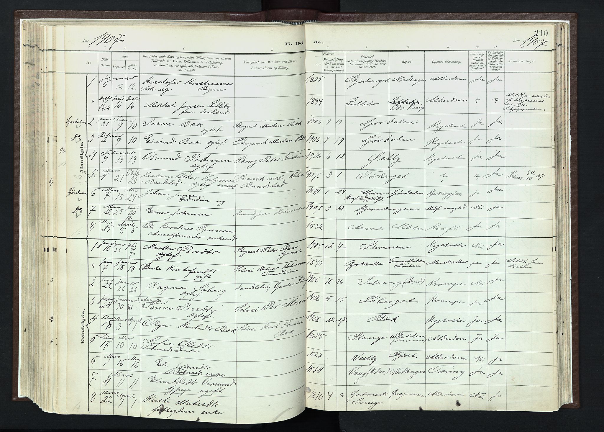 Trysil prestekontor, AV/SAH-PREST-046/H/Ha/Haa/L0013: Ministerialbok nr. 13, 1898-1911, s. 210