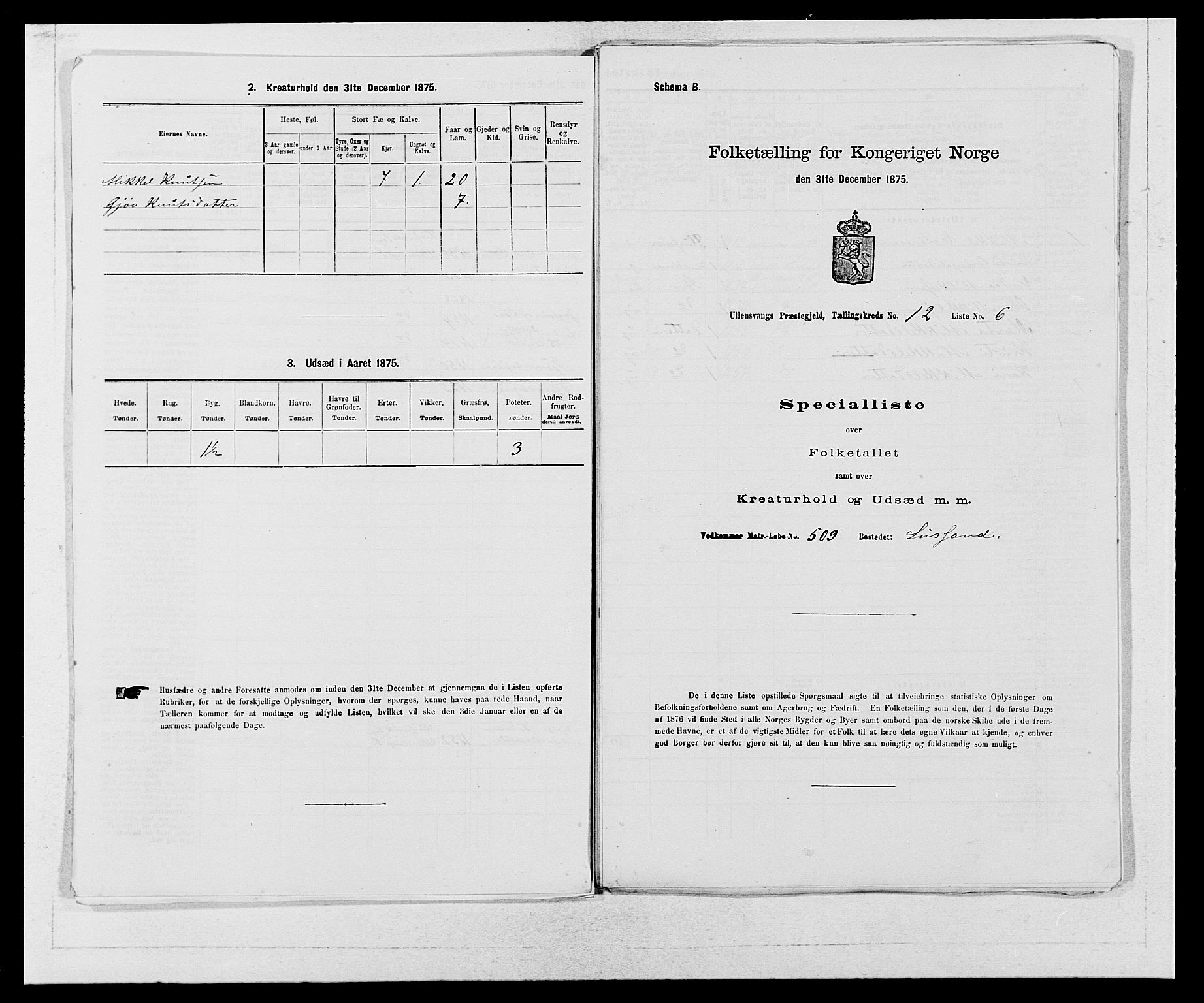 SAB, Folketelling 1875 for 1230P Ullensvang prestegjeld, 1875, s. 1229