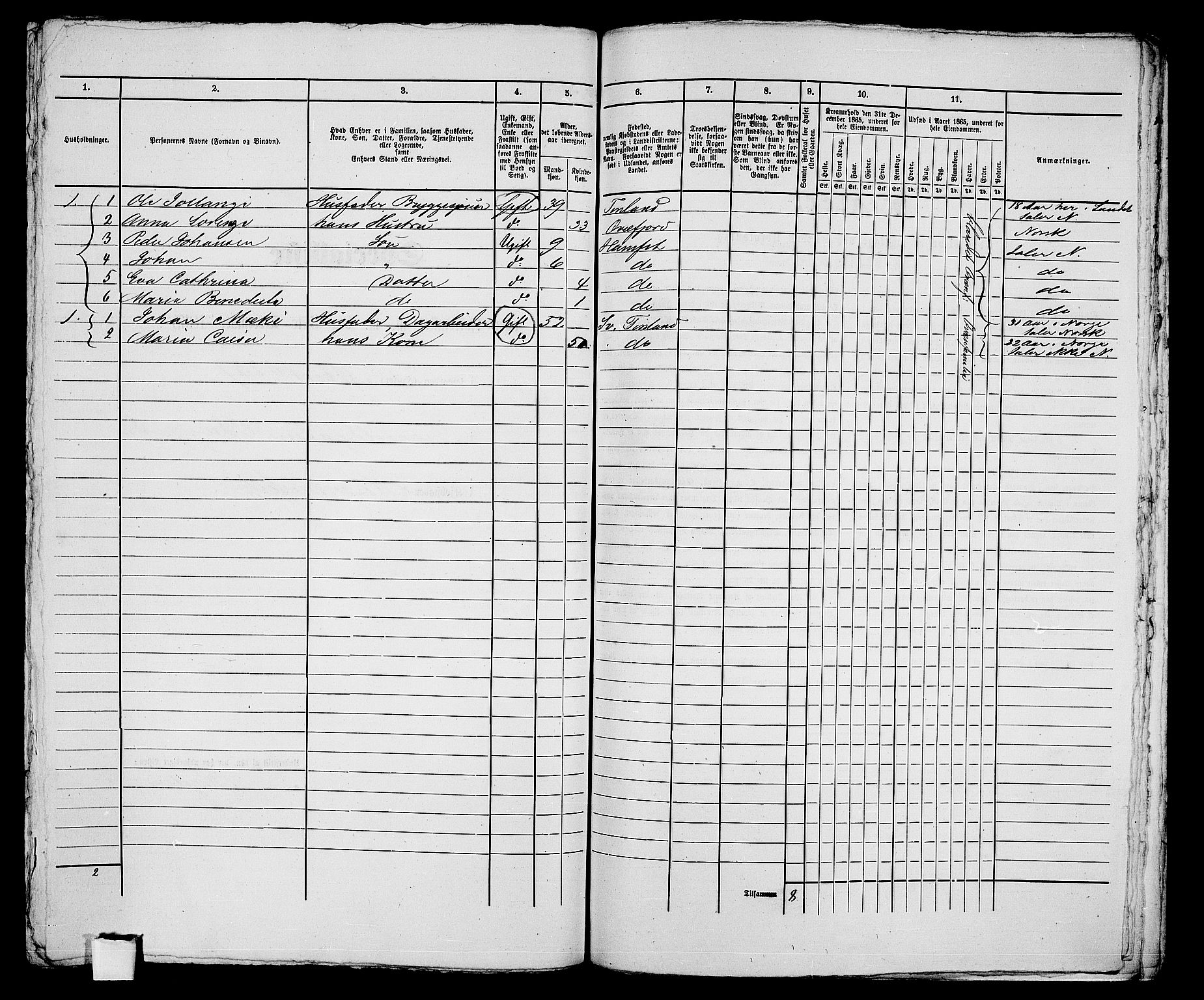 RA, Folketelling 1865 for 2001B Hammerfest prestegjeld, Hammerfest kjøpstad, 1865, s. 331