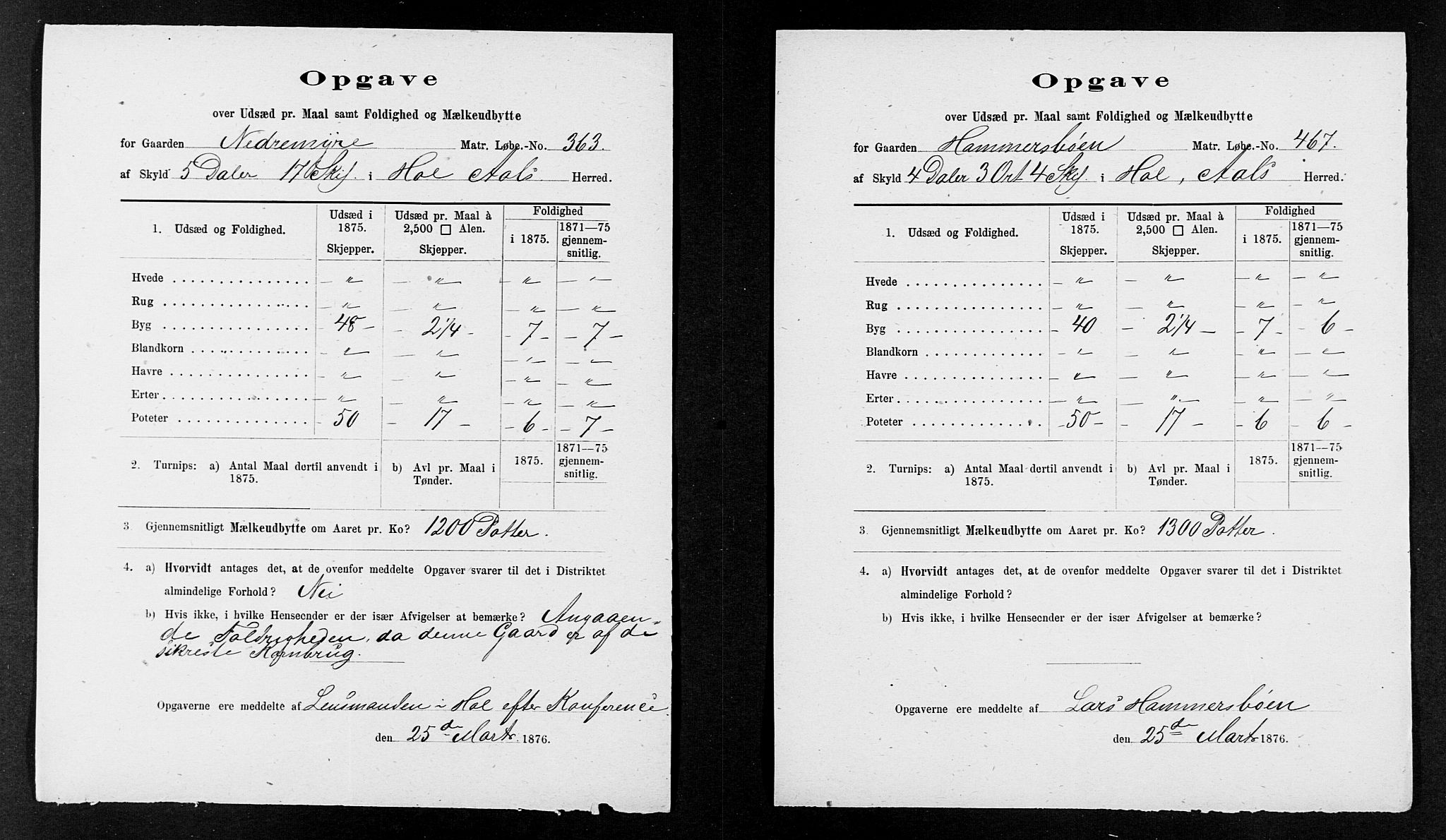 Statistisk sentralbyrå, Næringsøkonomiske emner, Generelt - Amtmennenes femårsberetninger, AV/RA-S-2233/F/Fa/L0036: --, 1875, s. 20