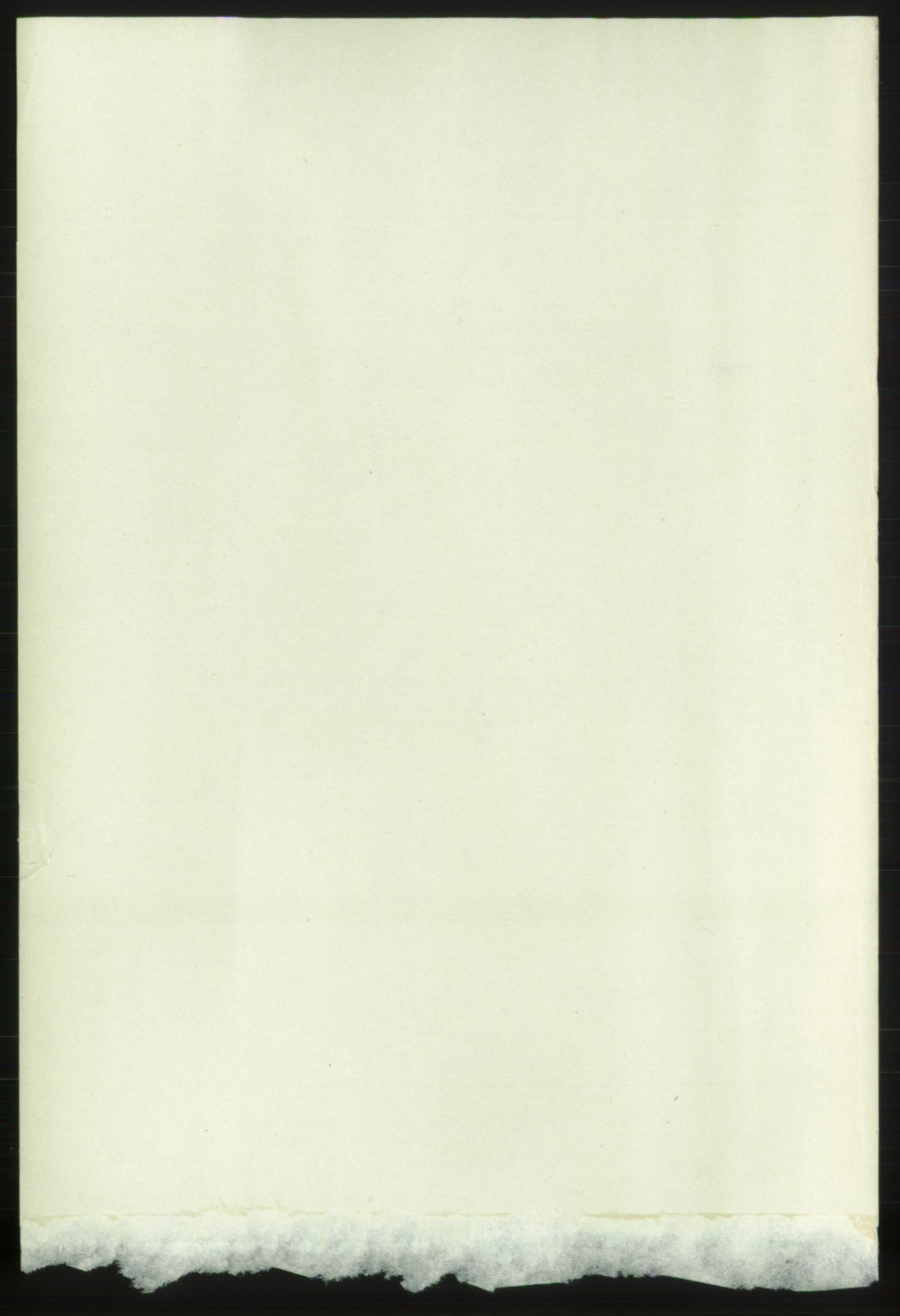RA, Folketelling 1891 for 0902 Tvedestrand ladested, 1891, s. 2445