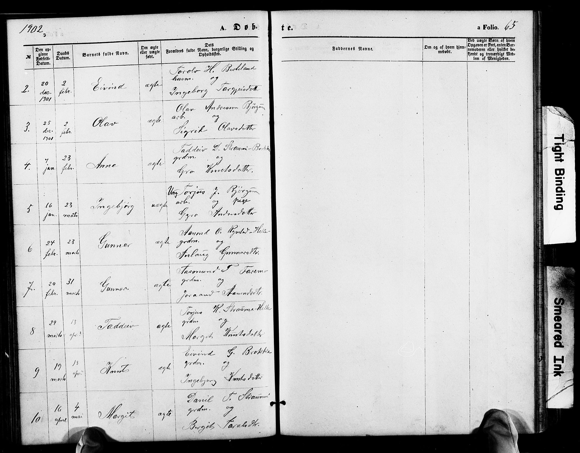 Valle sokneprestkontor, AV/SAK-1111-0044/F/Fb/Fbb/L0002: Klokkerbok nr. B 2, 1875-1921, s. 65